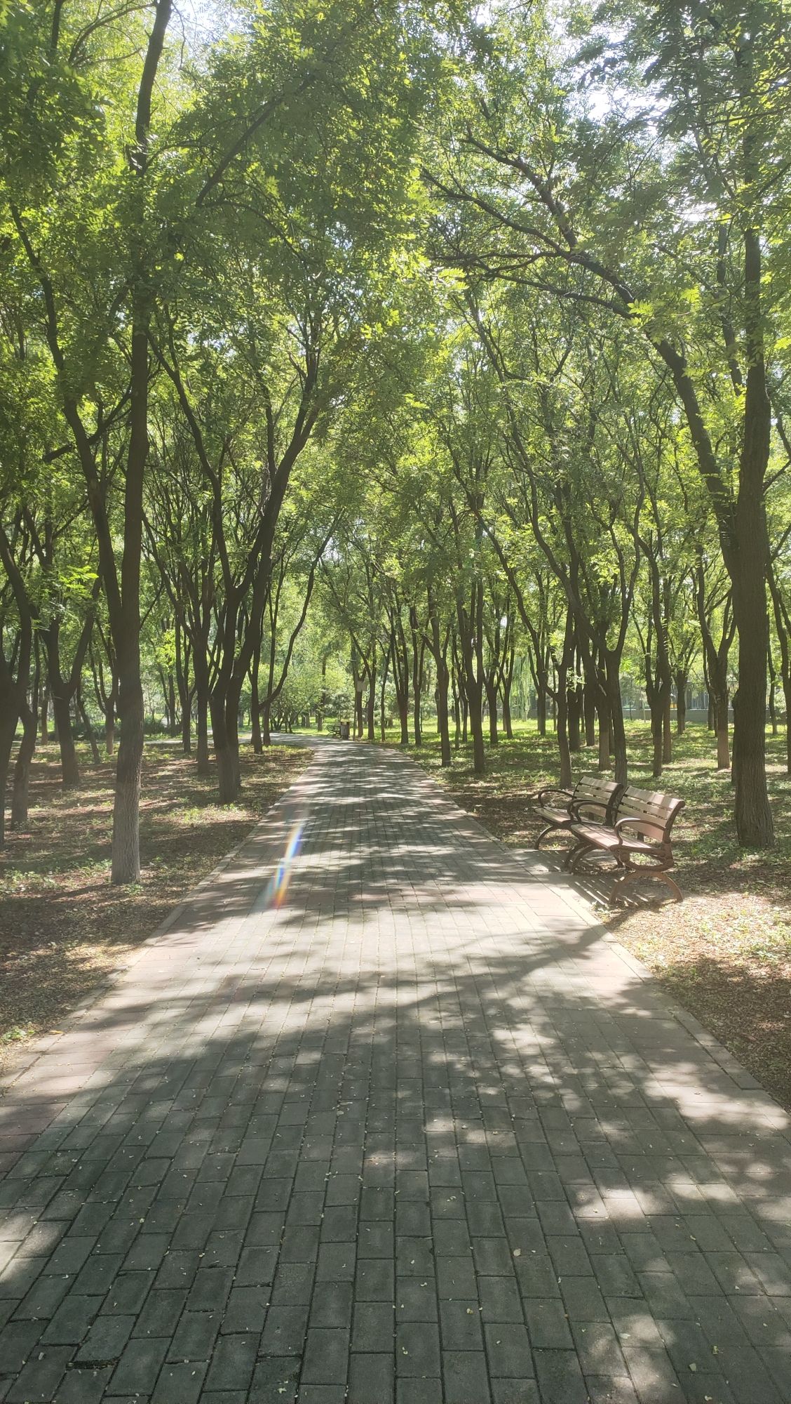 京城森林公园旅行图片 2