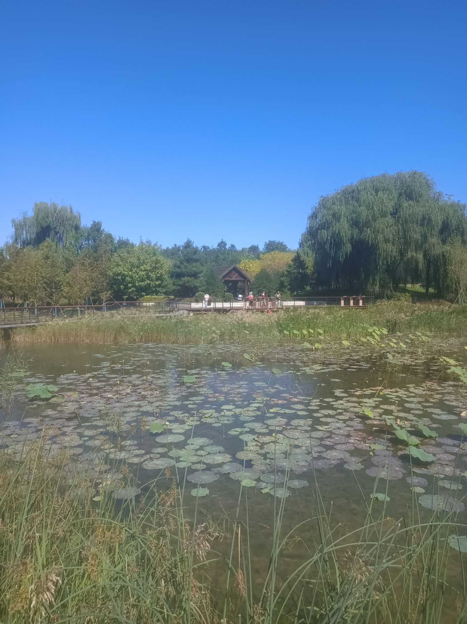 京城森林公园旅行图片 3