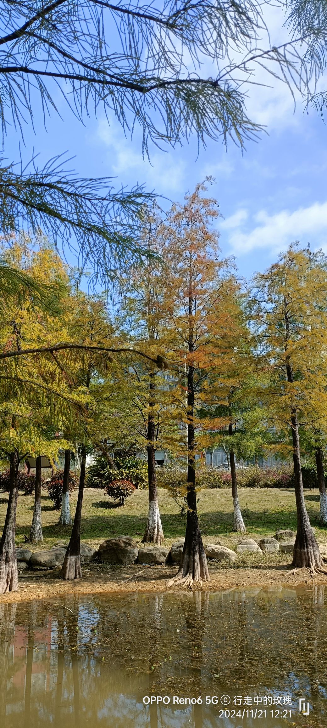 龙潭国家湿地公园旅行图片 1