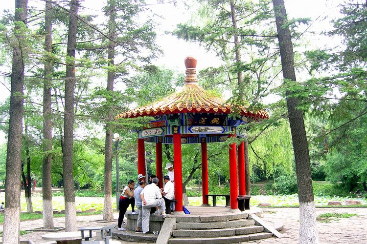 插花三角公园旅行图片 3