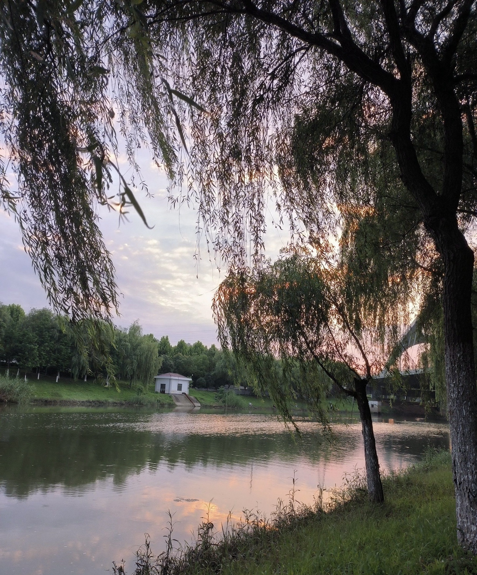 潜川路体育公园旅行图片 1