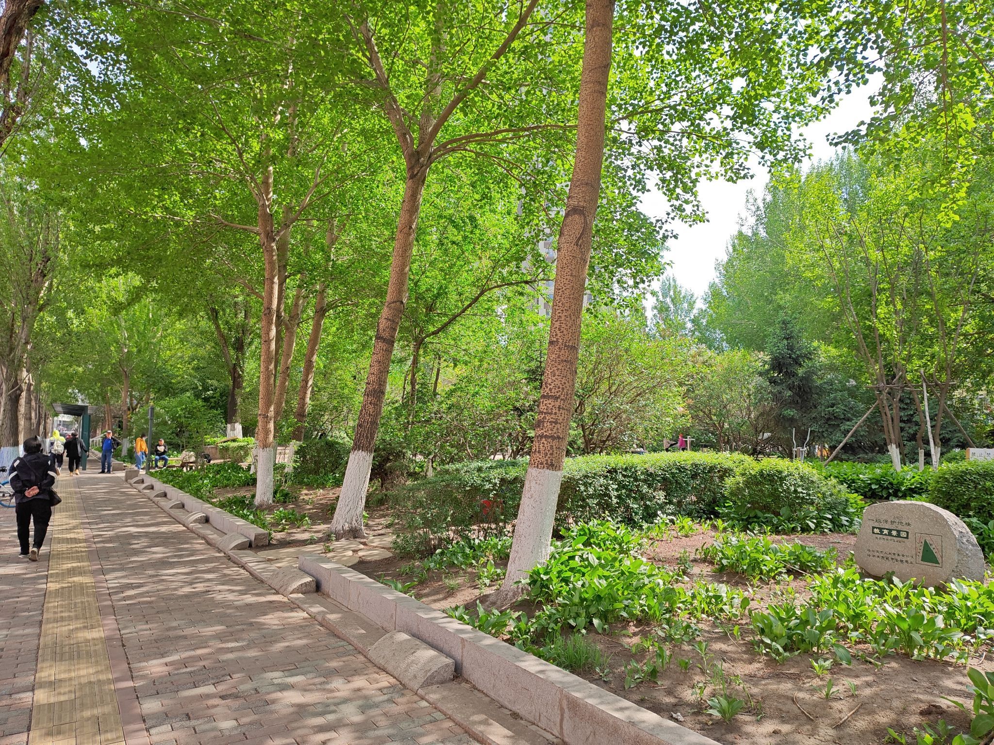 宽城教育景园旅行图片 3