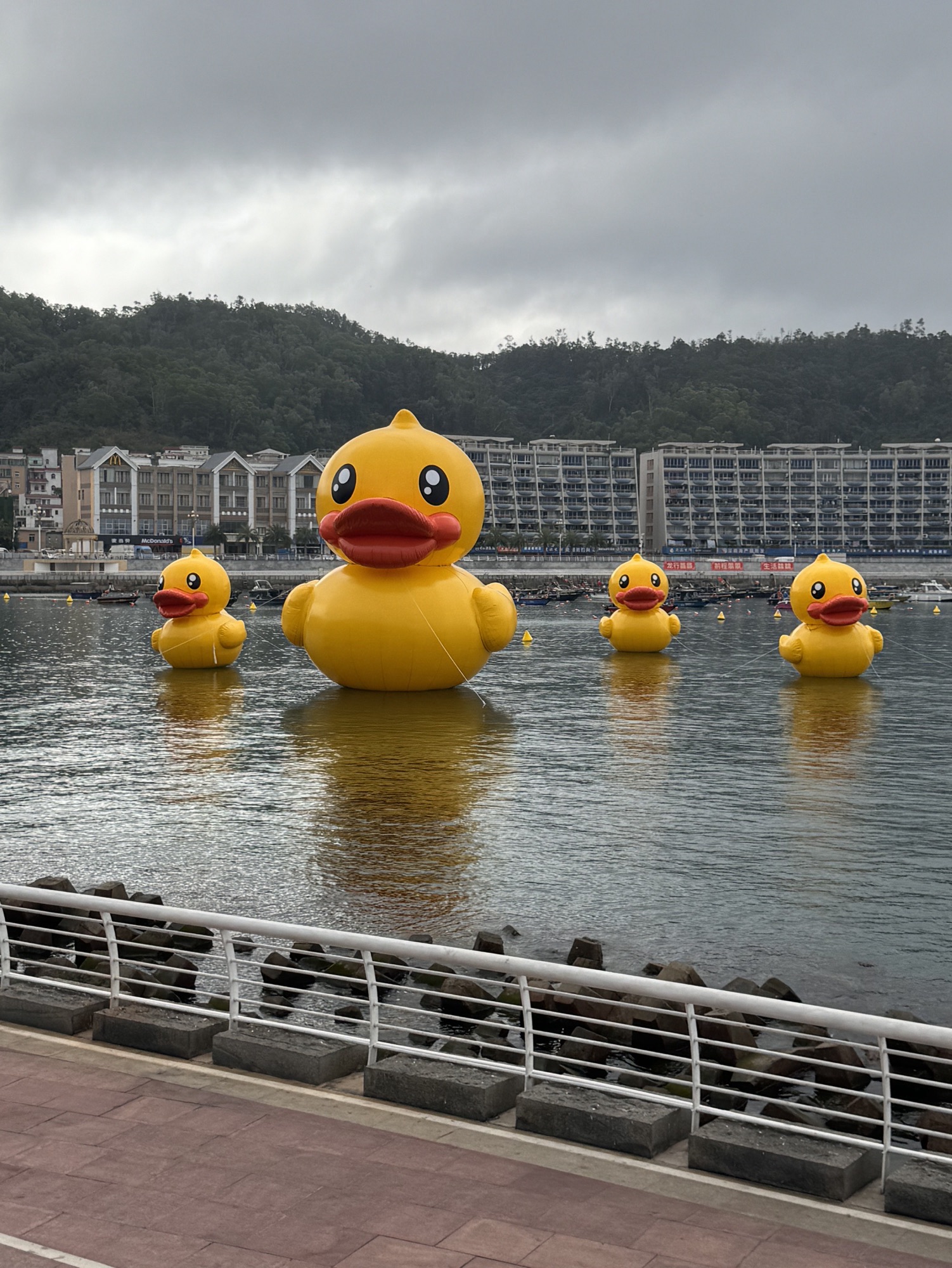 南澳广场-月亮湾广场旅行图片 1