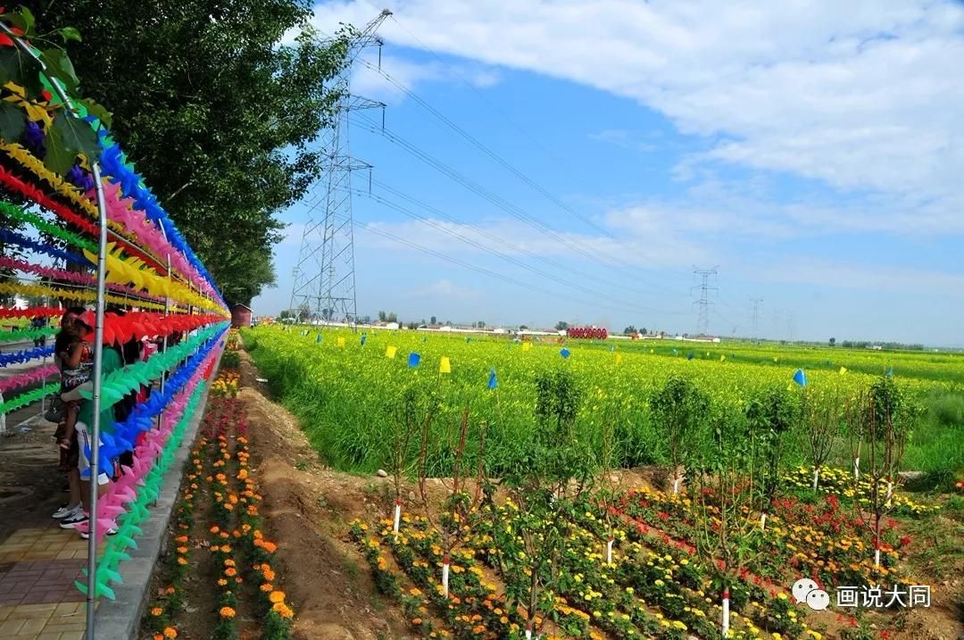 大同黄花公园旅行图片 1