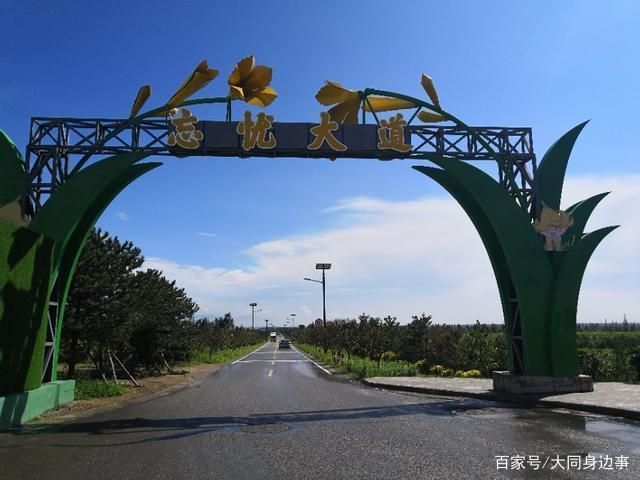 大同黄花公园旅行图片 2