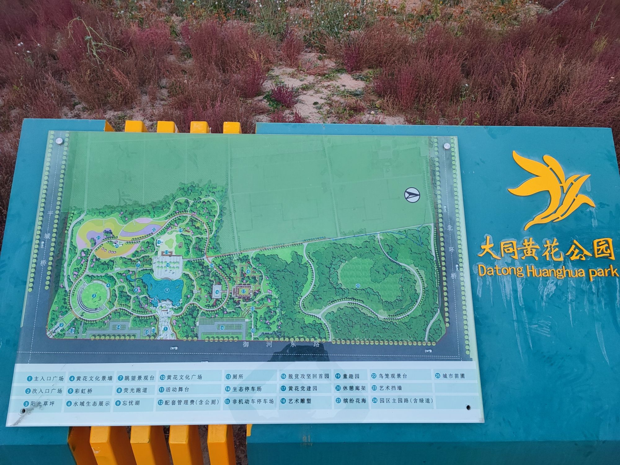 大同黄花公园