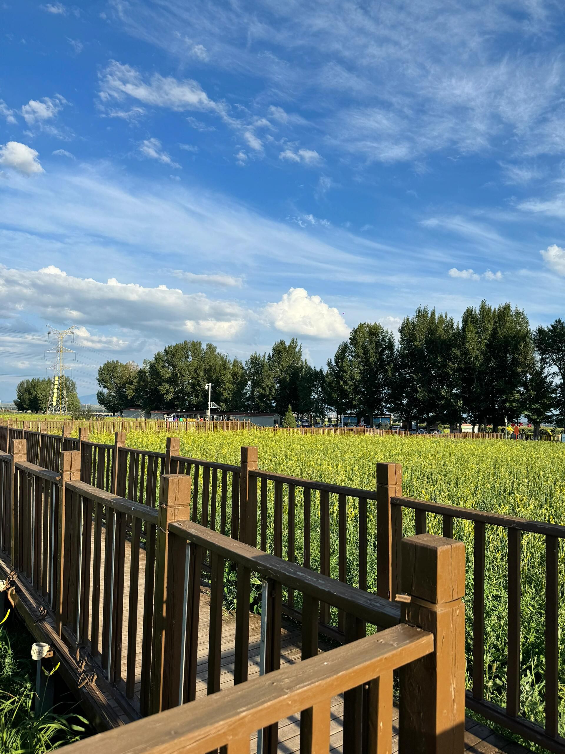 大同黄花公园旅行图片 1