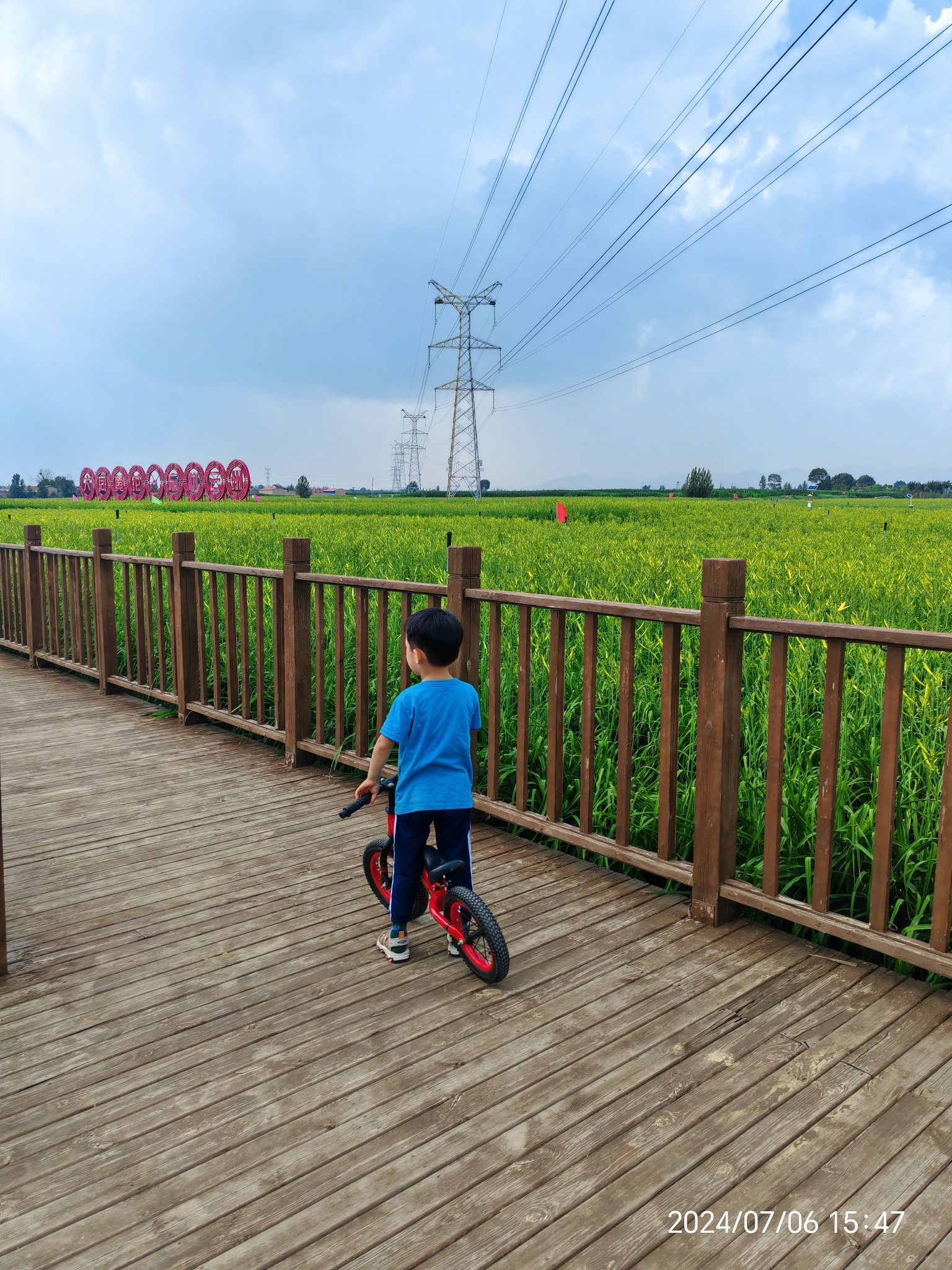 大同黄花公园旅行图片 1