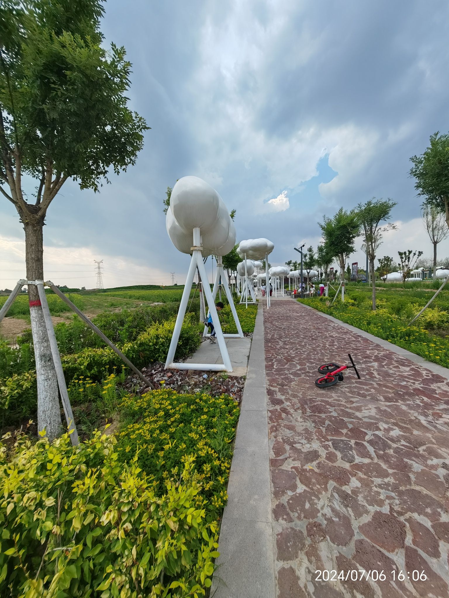 大同黄花公园旅行图片 3