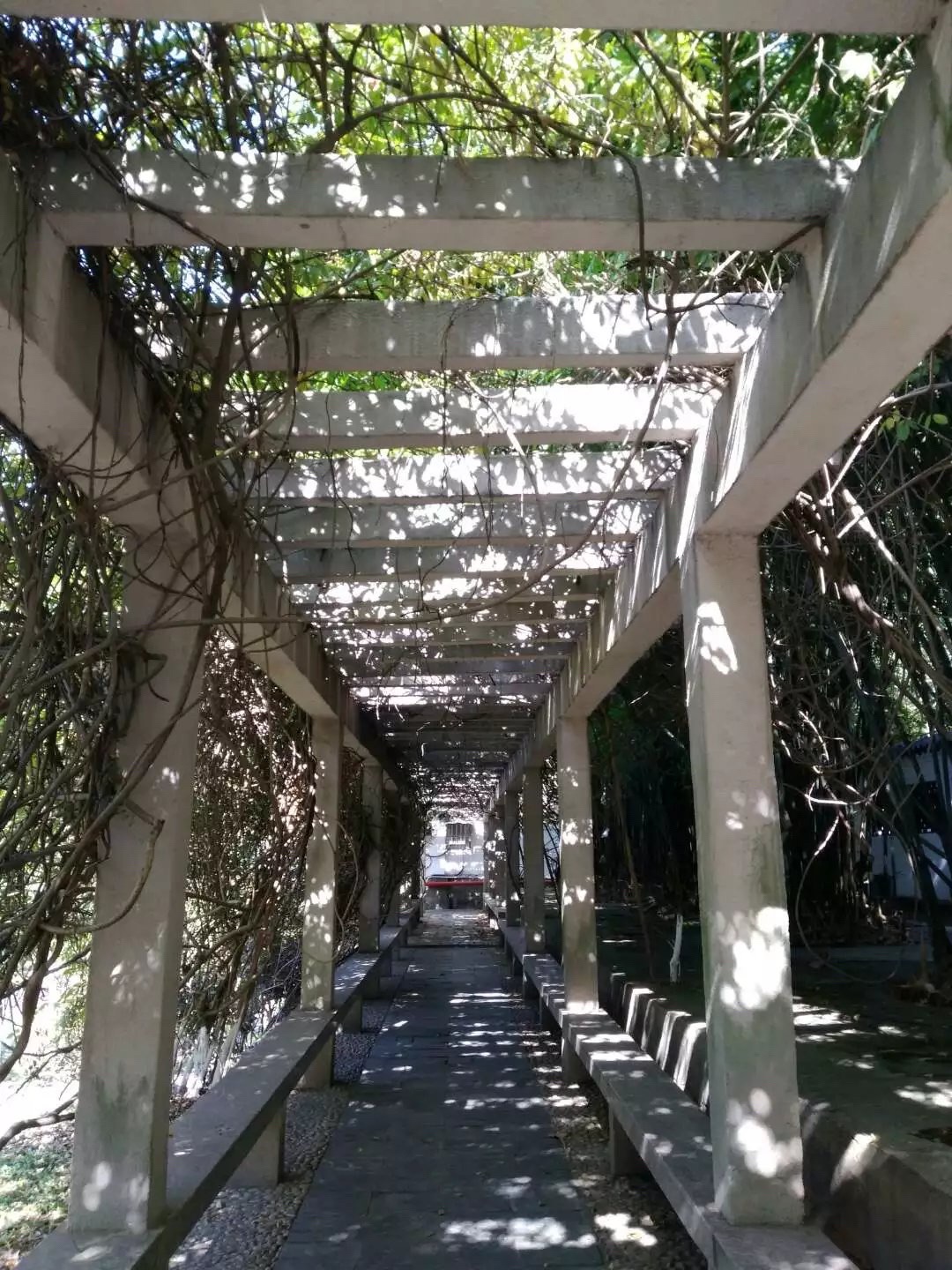 王安石故里旅行图片 3