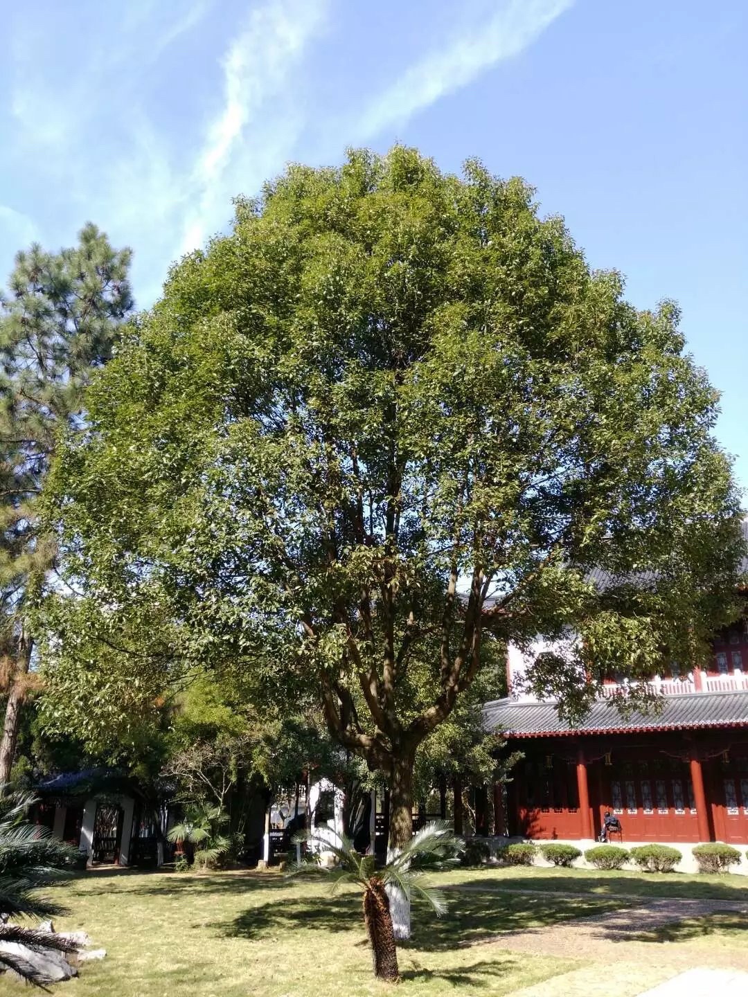 王安石故里旅行图片 1