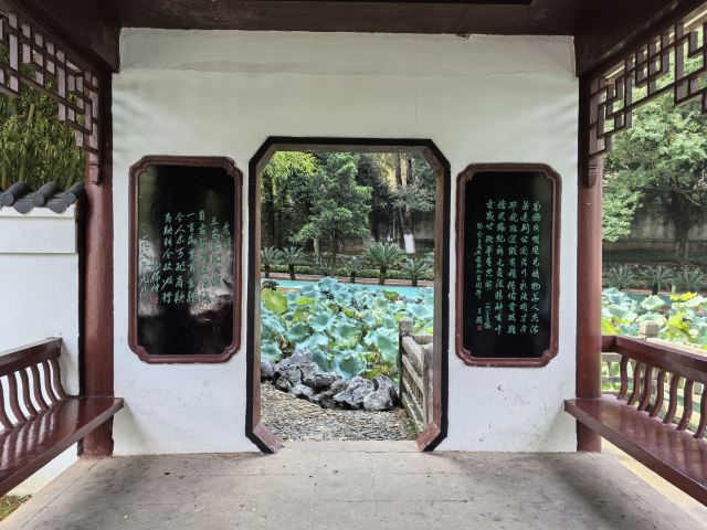 王安石故里旅行图片 3