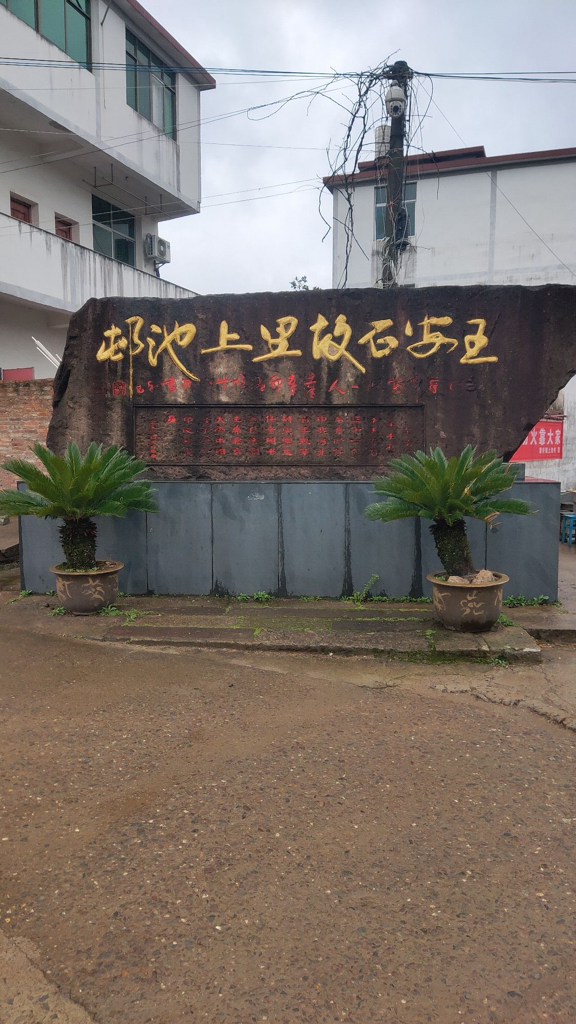 王安石故里旅行图片 1