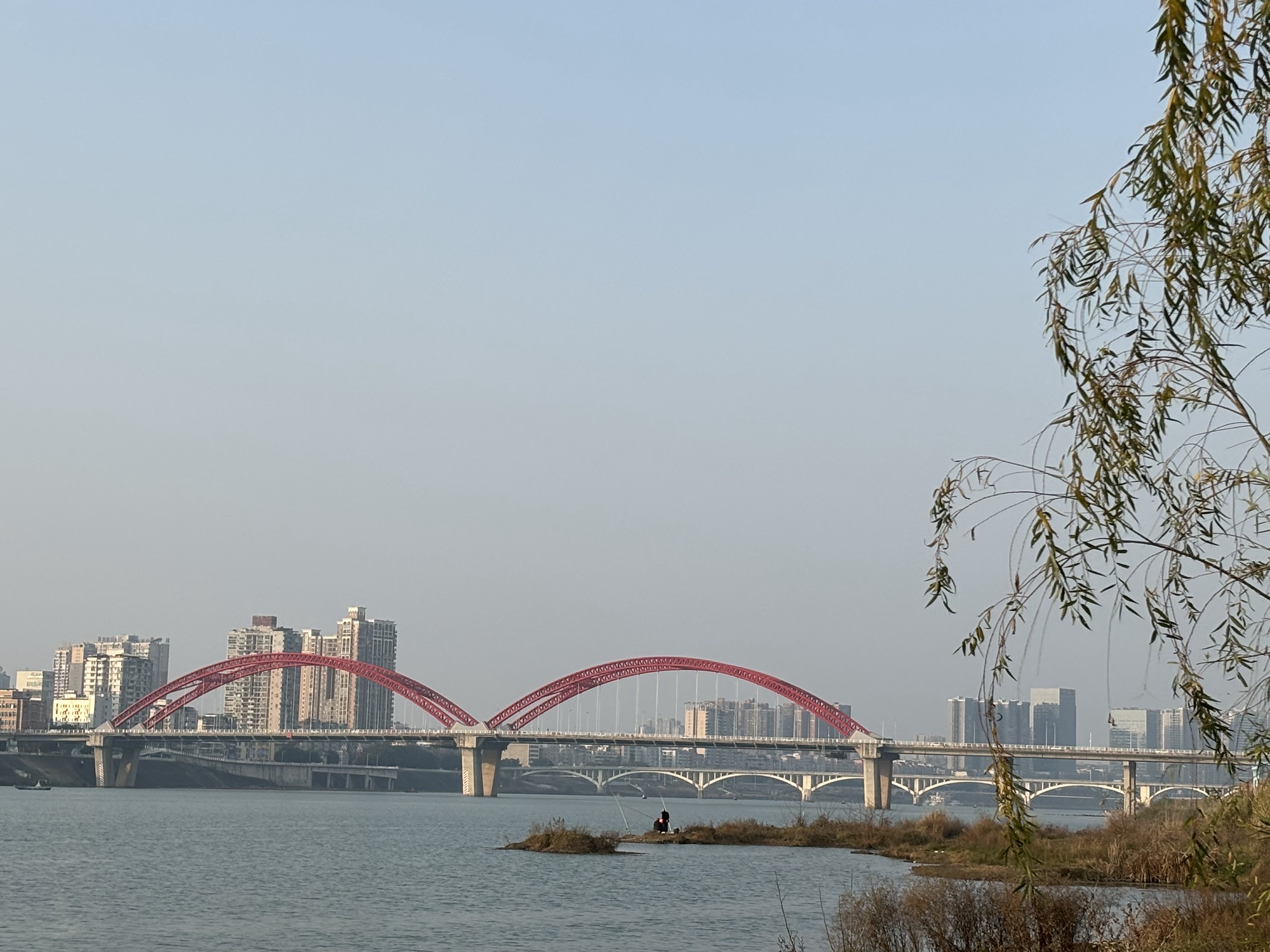 嘉陵江下中坝缤纷水岸湿地公园旅行图片 3