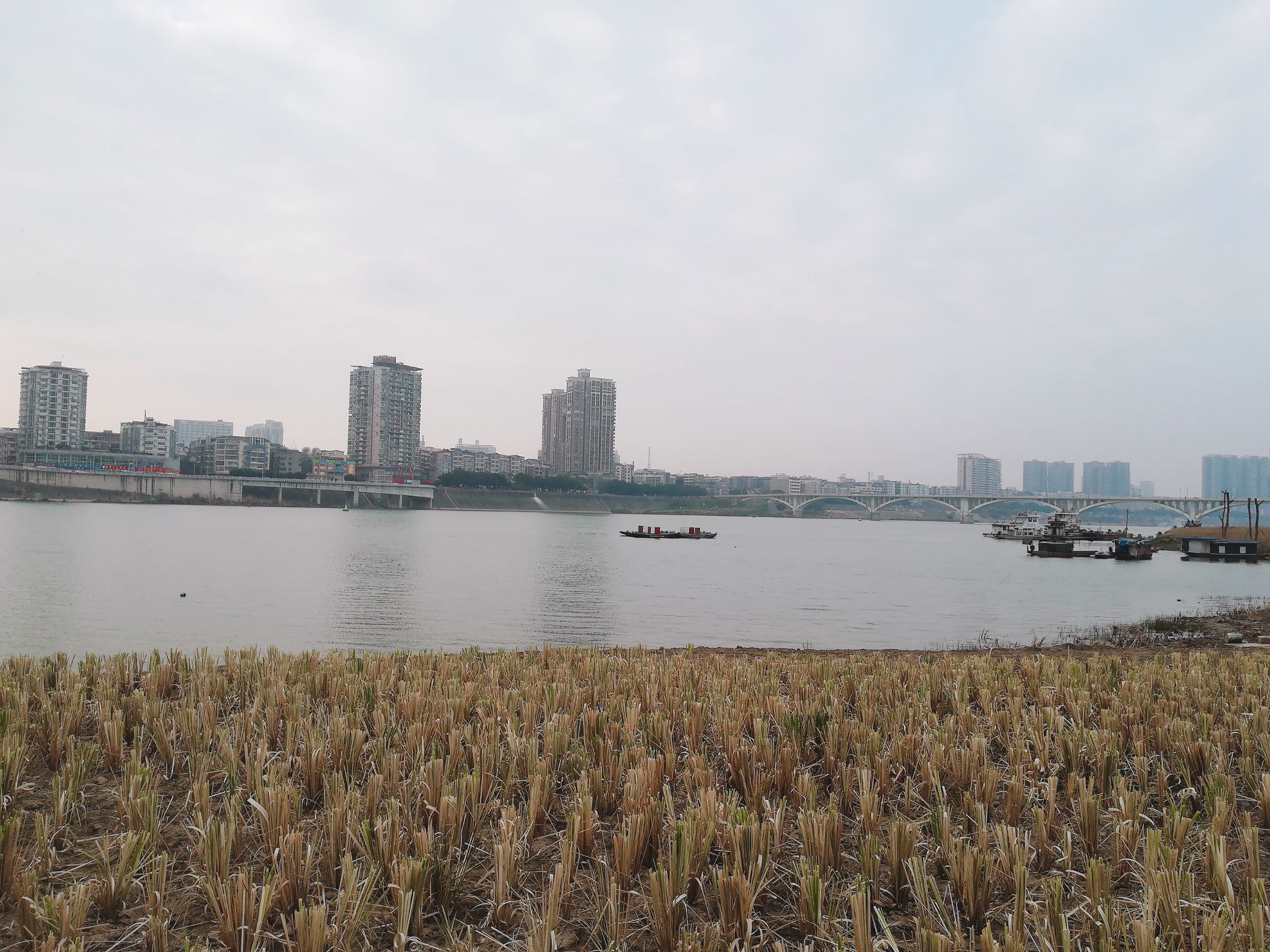 嘉陵江下中坝缤纷水岸湿地公园旅行图片 2