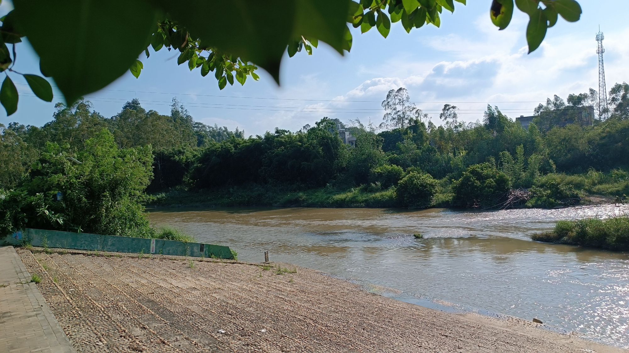 吹塘湿地公园旅行图片 2