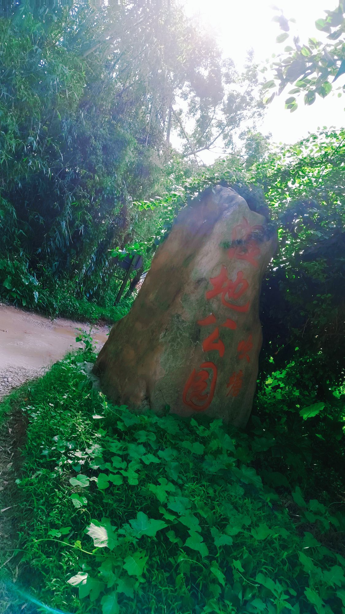 吹塘湿地公园旅行图片 1