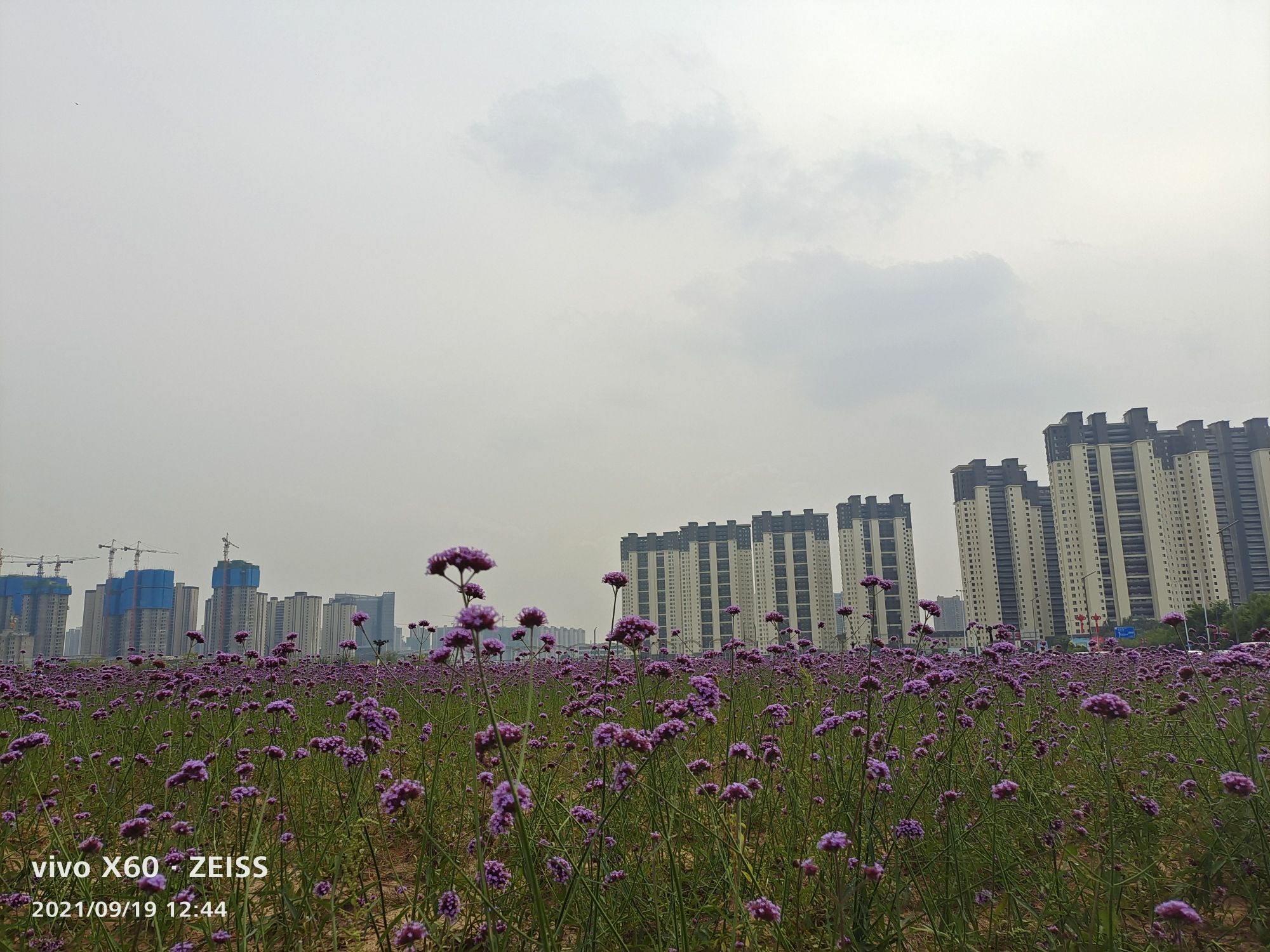 七星公园开阳园旅行图片 2