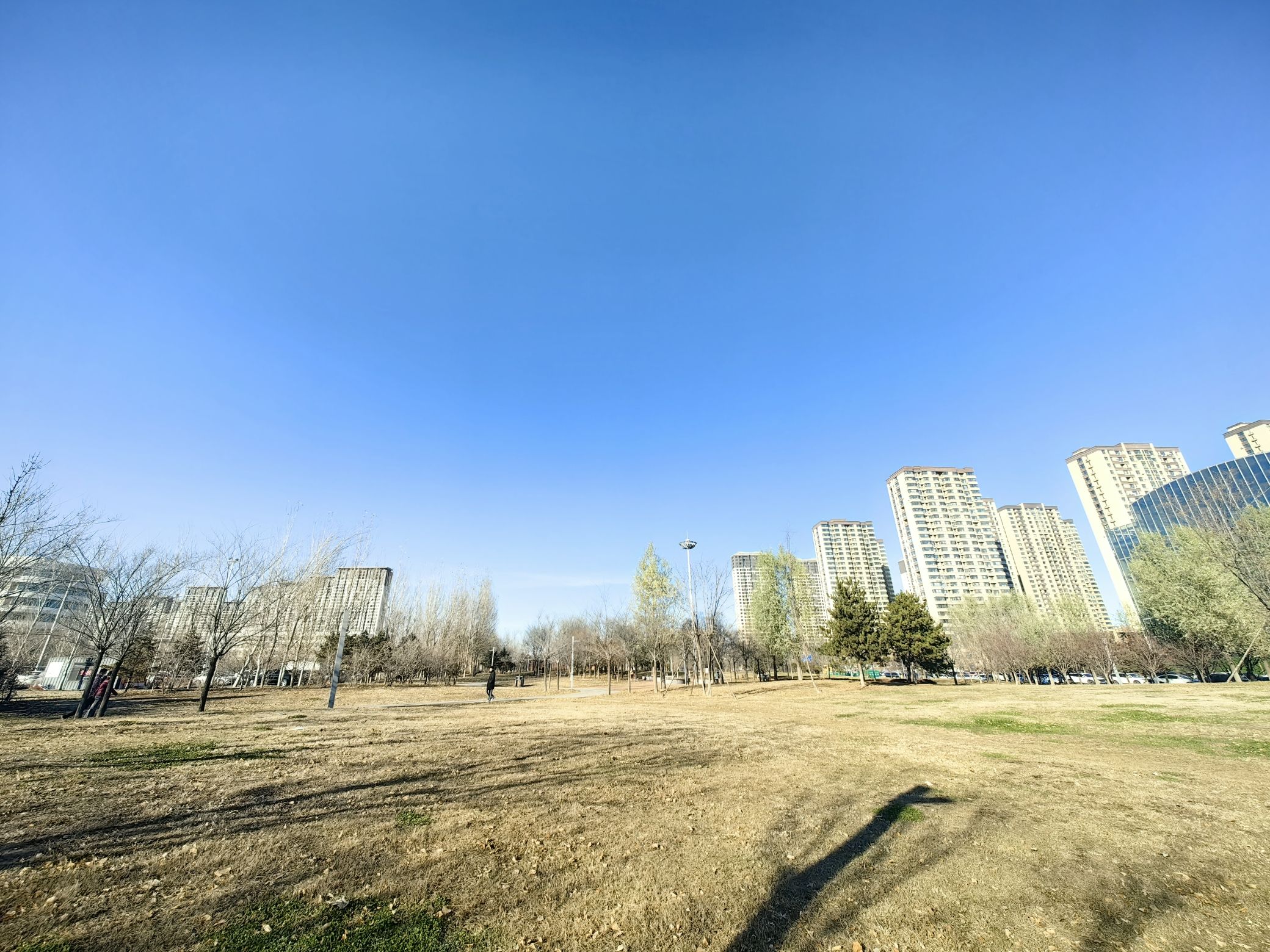 七星公园开阳园旅行图片 3