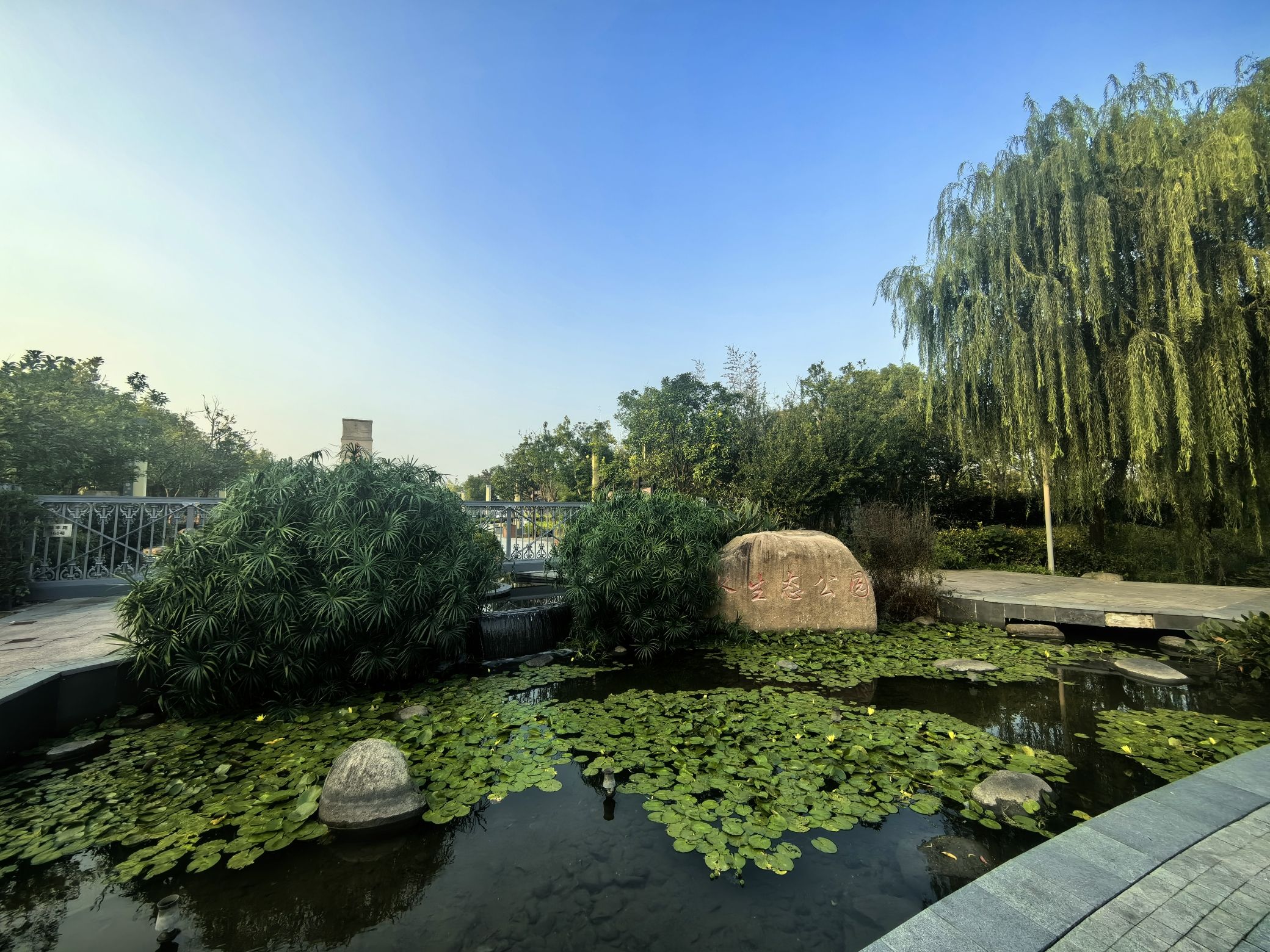 南翔水生态公园旅行图片 1