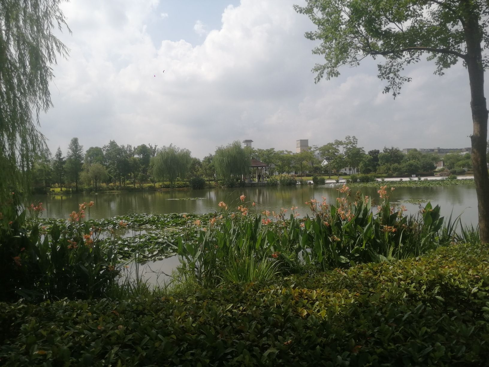 南翔水生态公园旅行图片 1