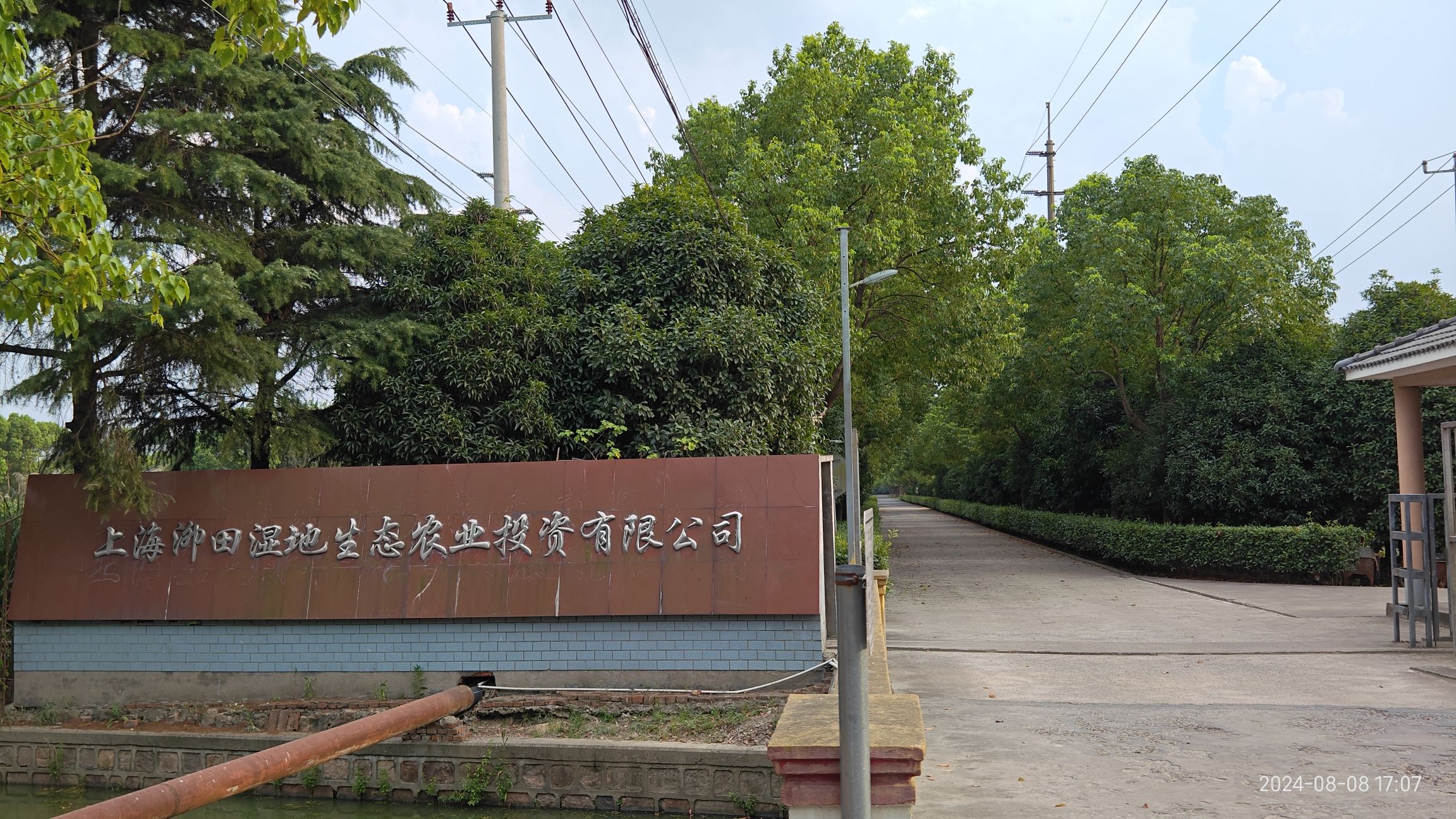 泖田湿地旅行图片 1