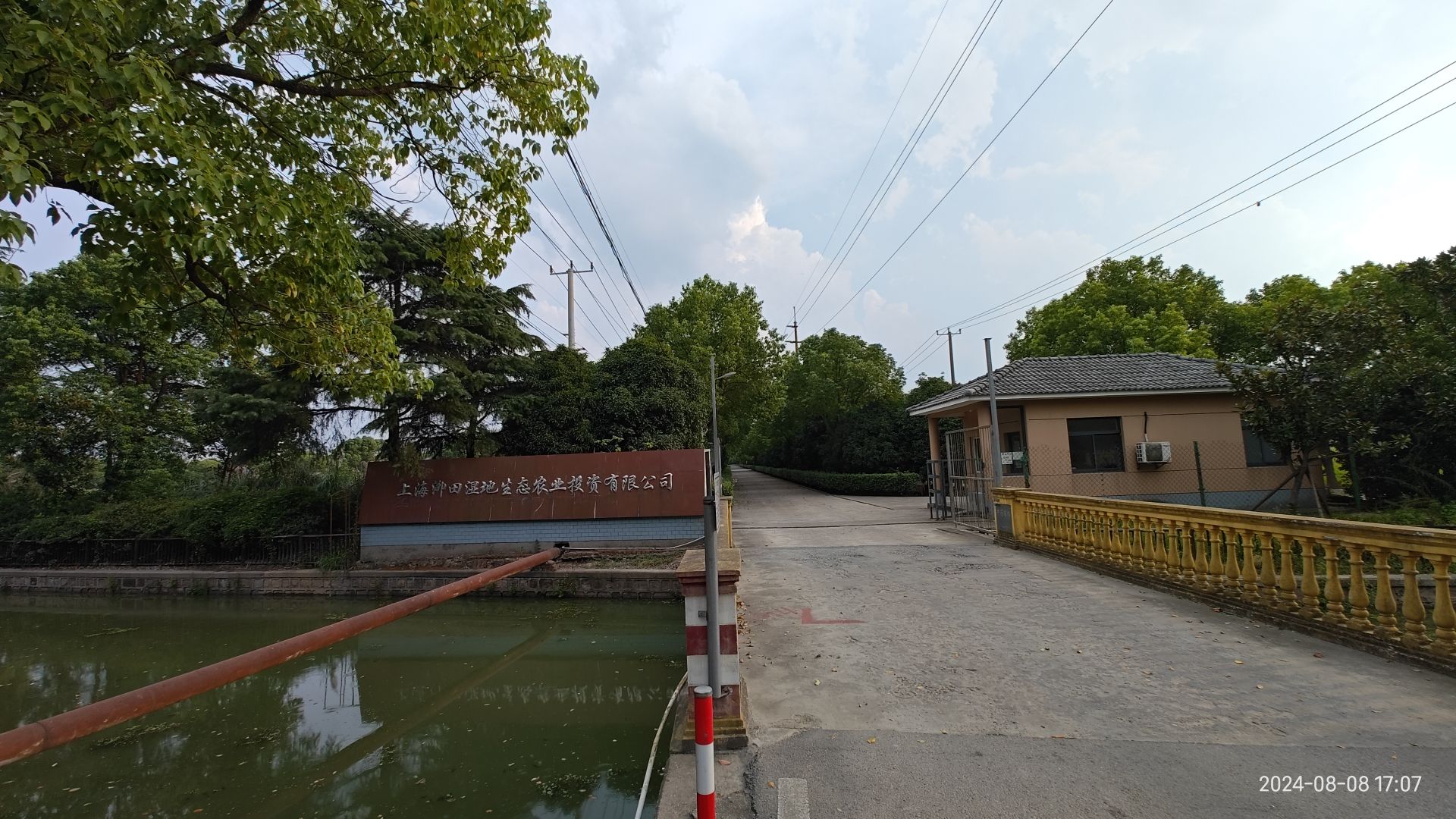 泖田湿地旅行图片 2