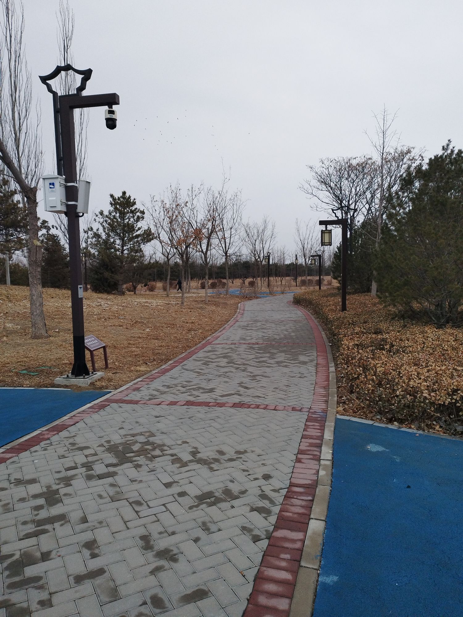 官庄公园旅行图片 3