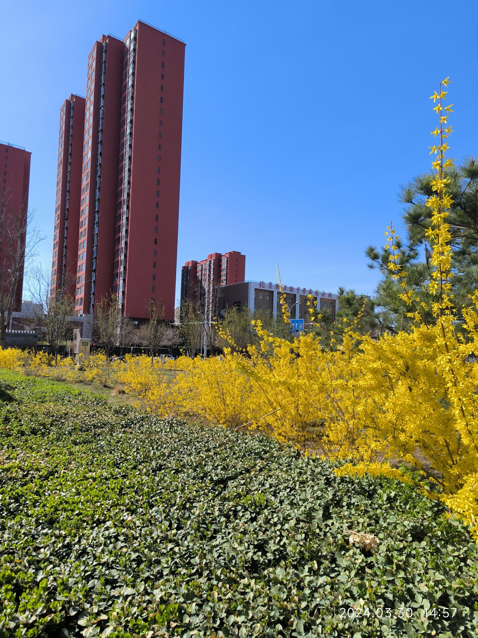 官庄公园旅行图片 1