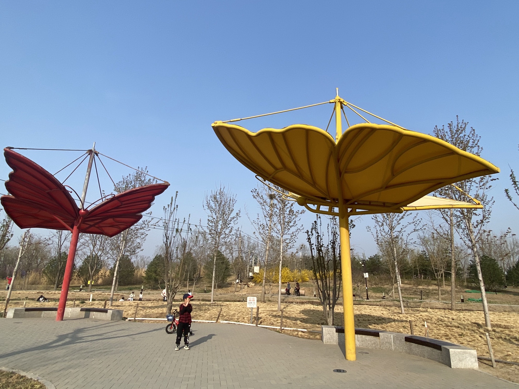 官庄公园旅行图片 2