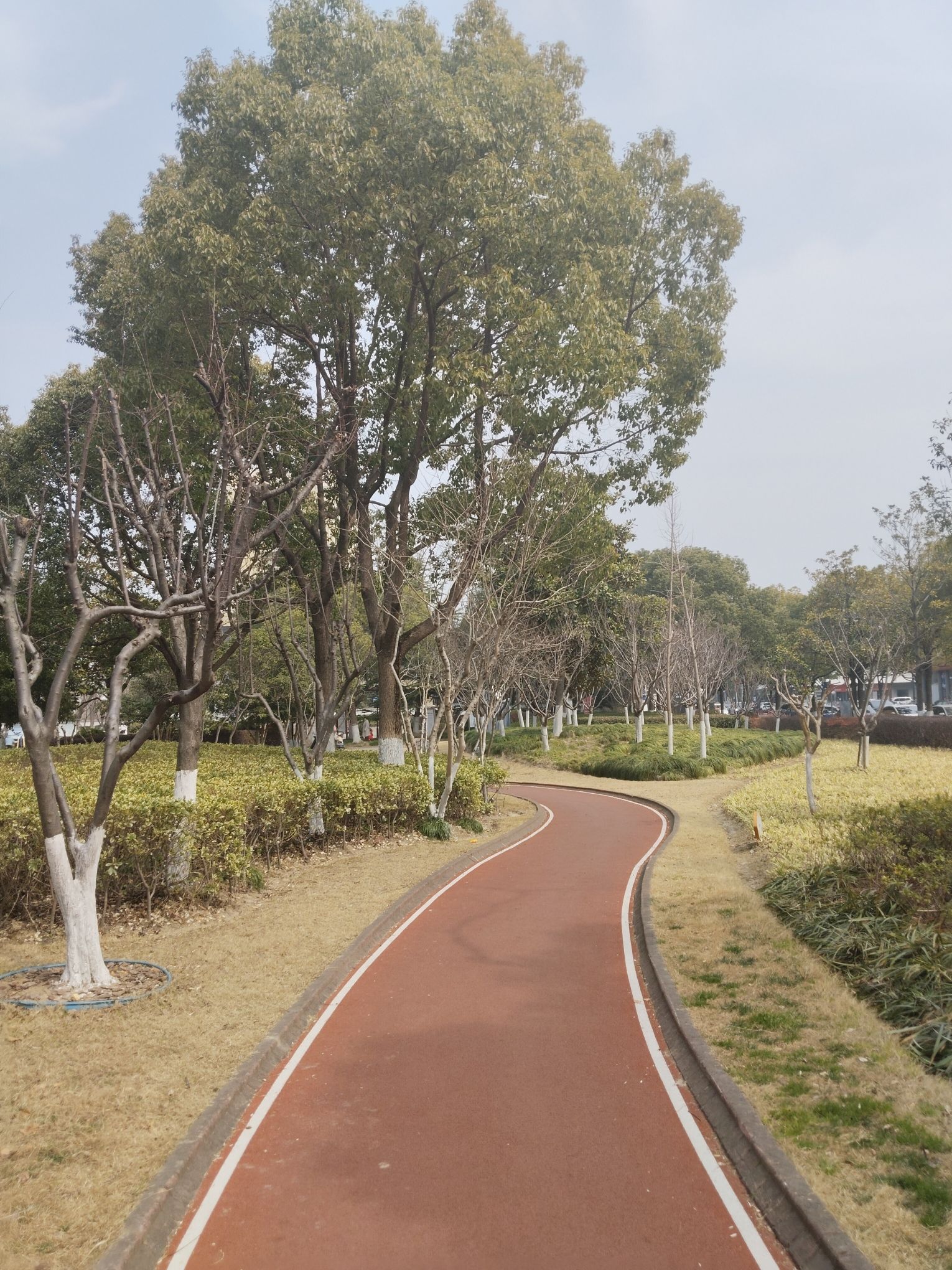 瞿门路广场旅行图片 2