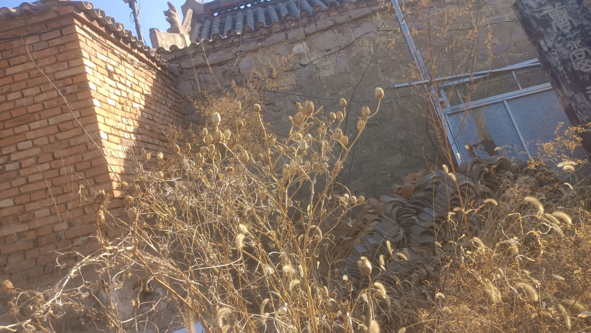起龙山抱朴道院旅行图片 1