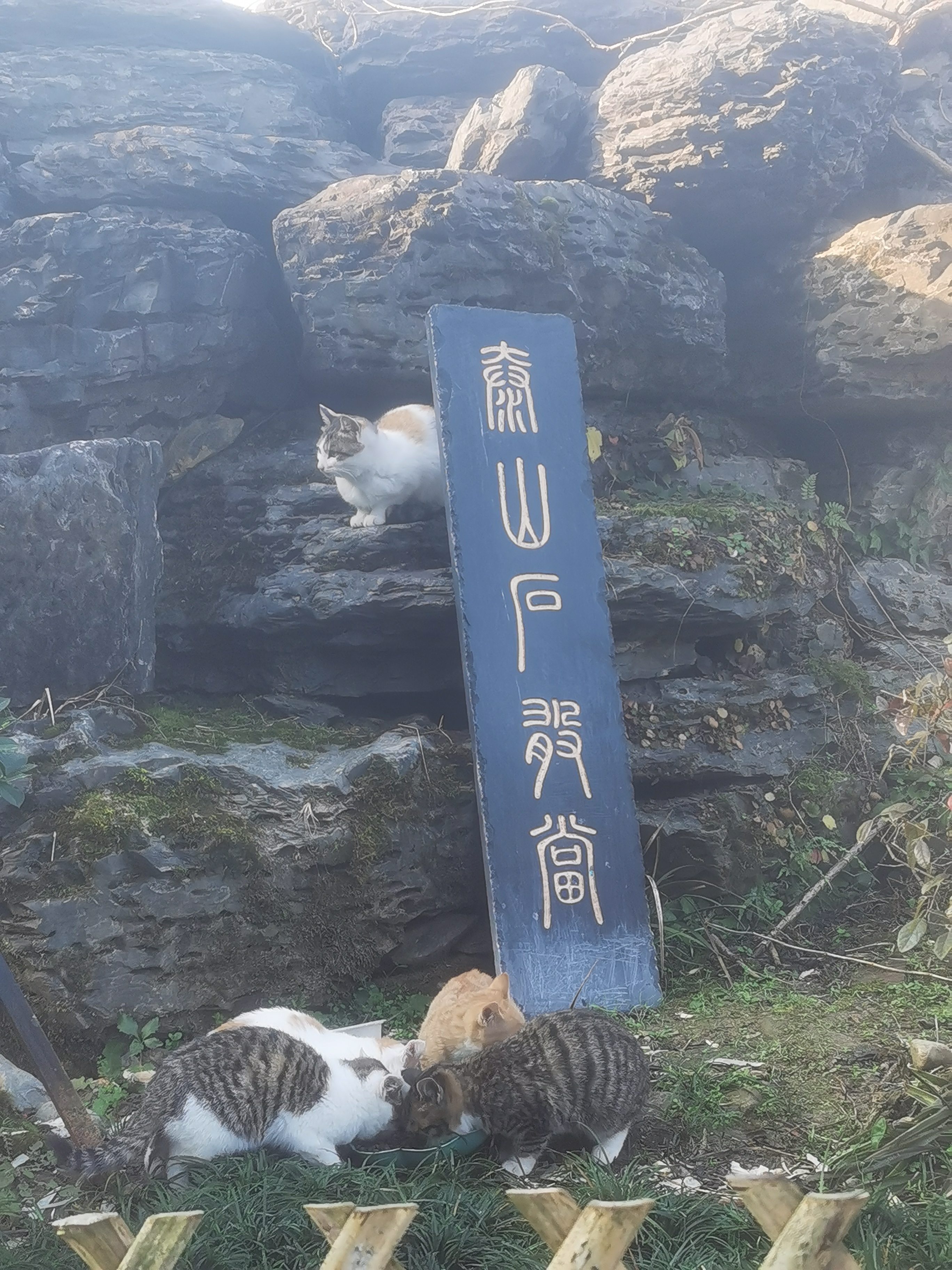 中国宣砚文化园旅行图片 2
