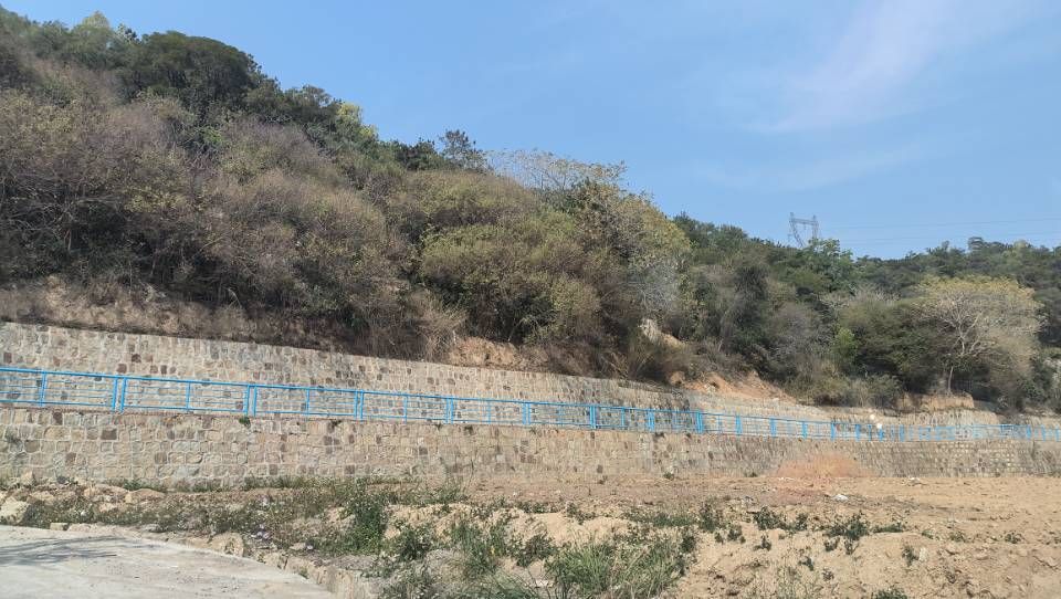 虎丘山旅行图片 1
