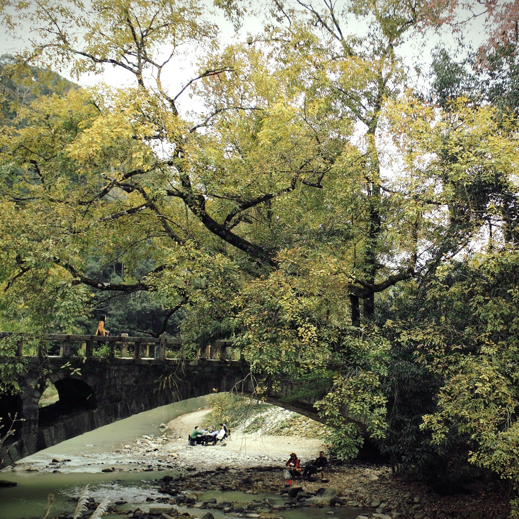 九峰村旅行图片 3