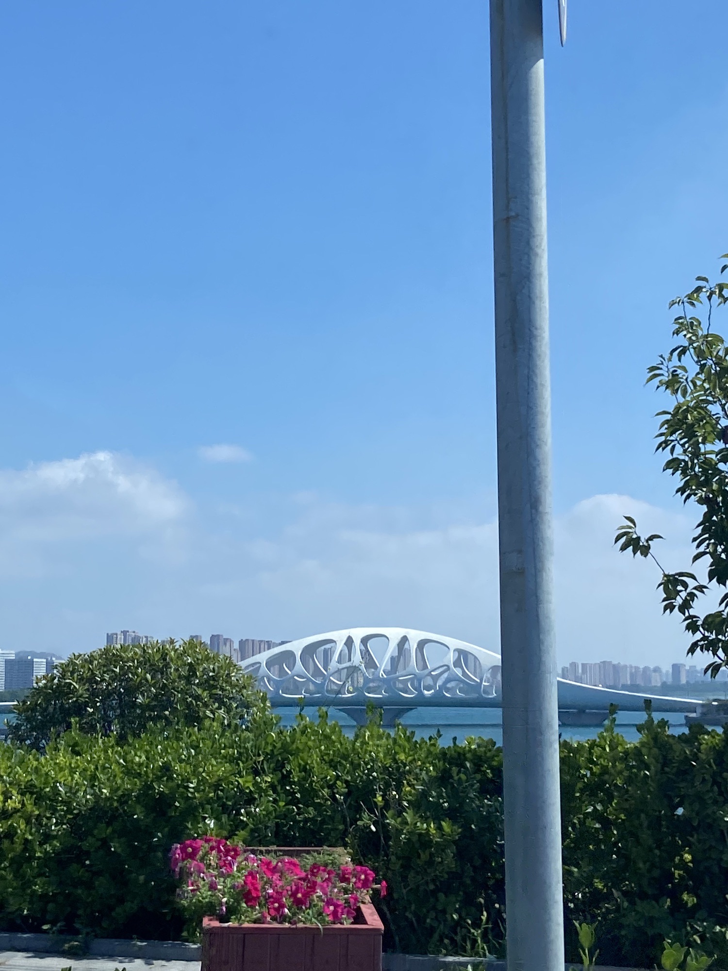 珊瑚贝桥旅行图片 3