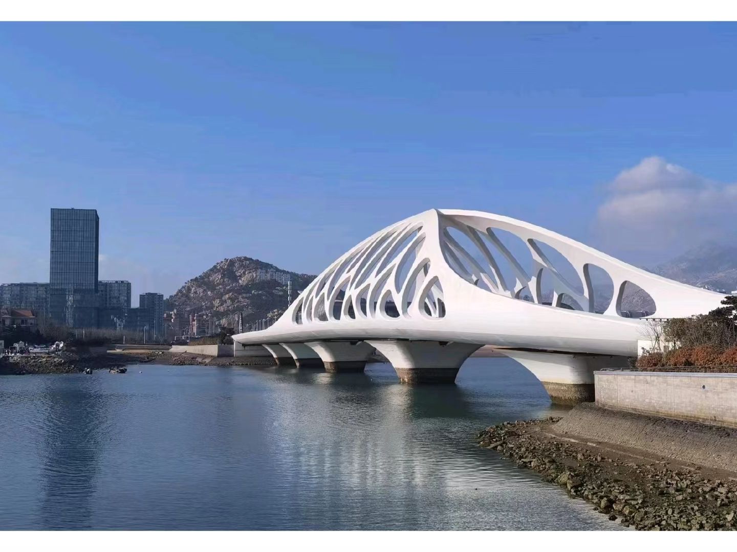 珊瑚贝桥旅行图片 3