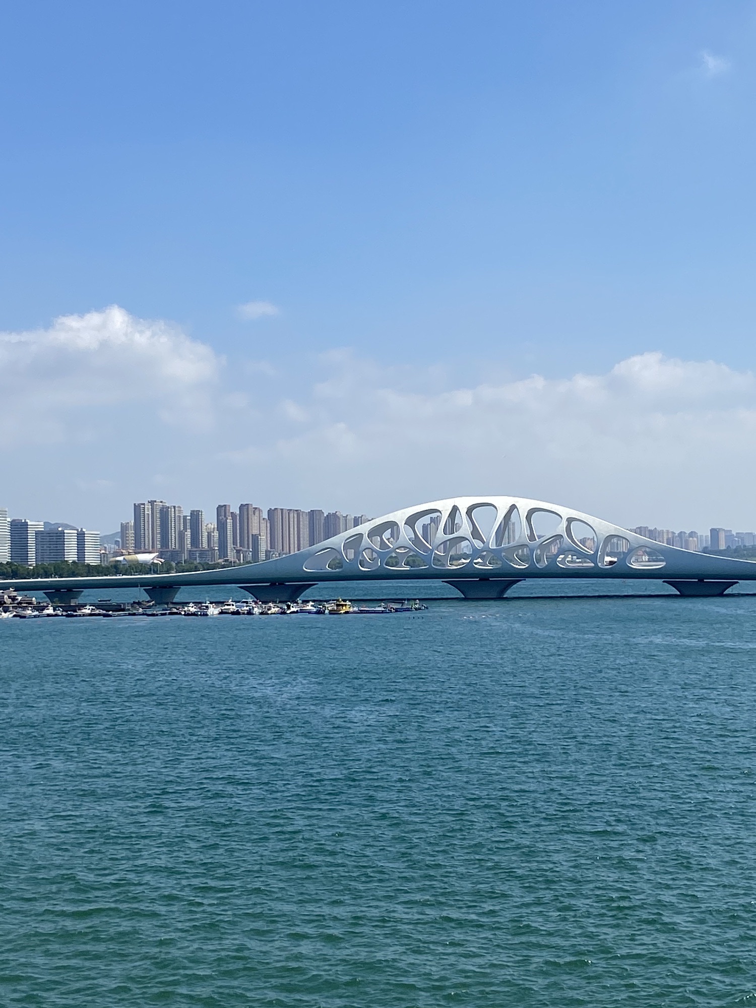 珊瑚贝桥旅行图片 1