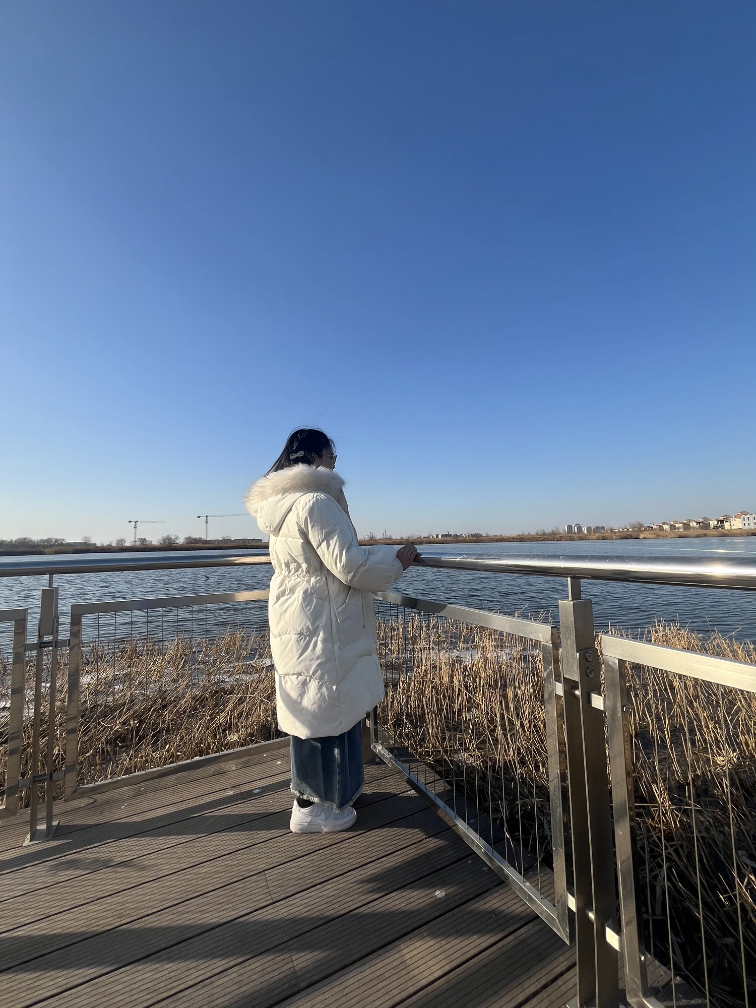 生态城中新友好花园旅行图片 1