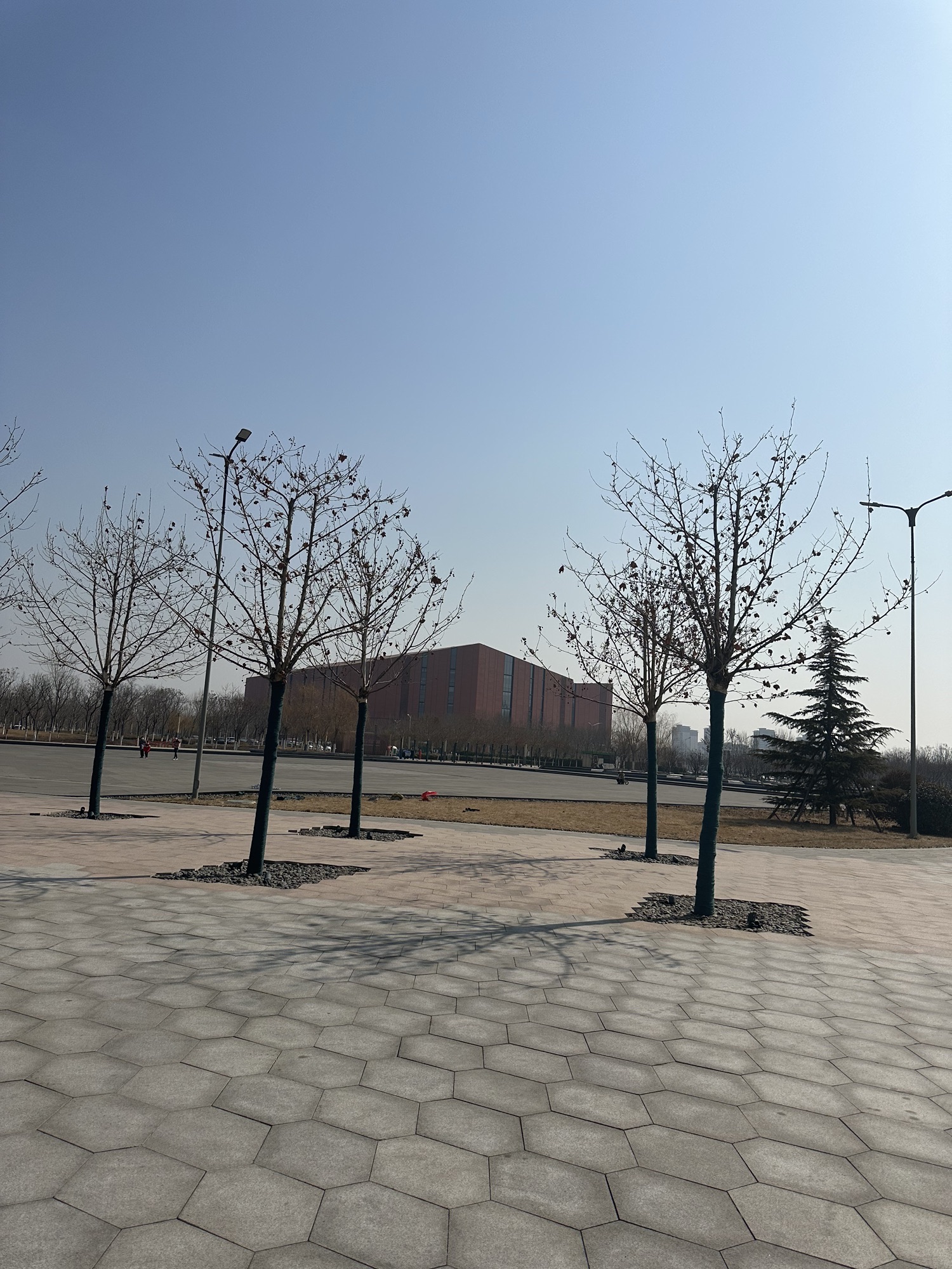 生态城中新友好花园旅行图片 3