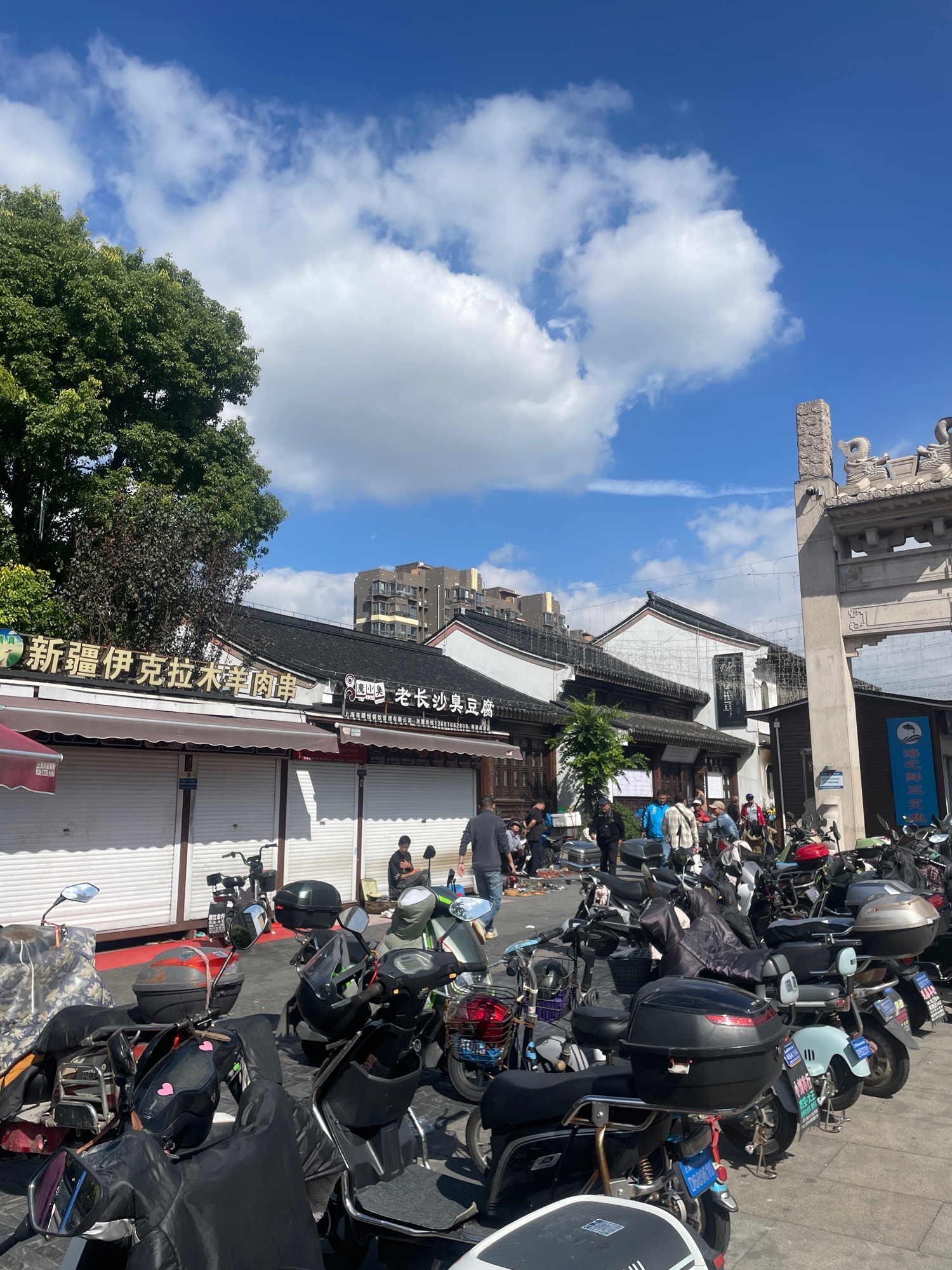 菊泉故里旅行图片 2