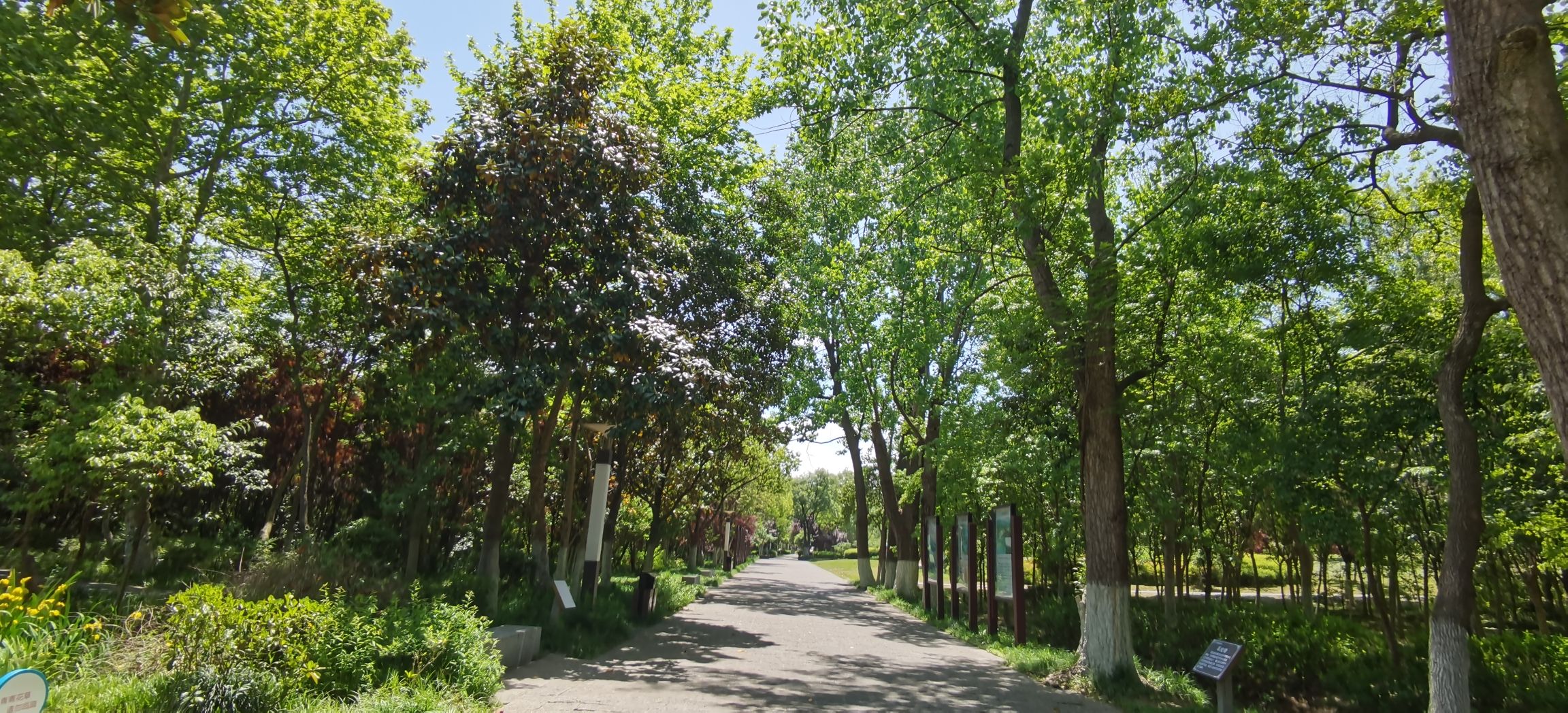 蜀峰湾南湖生态公园(蜀峰湾公园)旅行图片 3