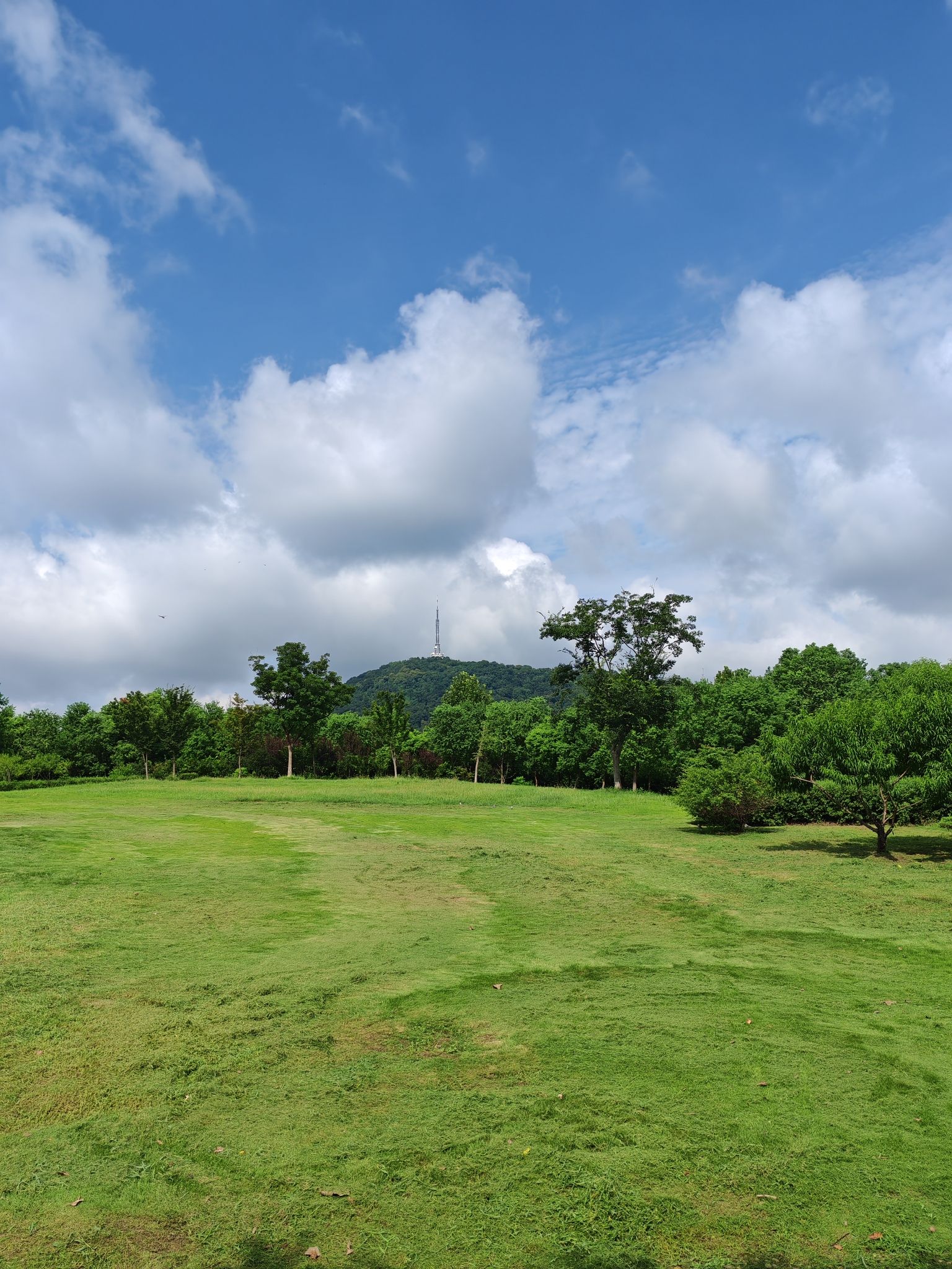 蜀峰湾南湖生态公园(蜀峰湾公园)旅行图片 3