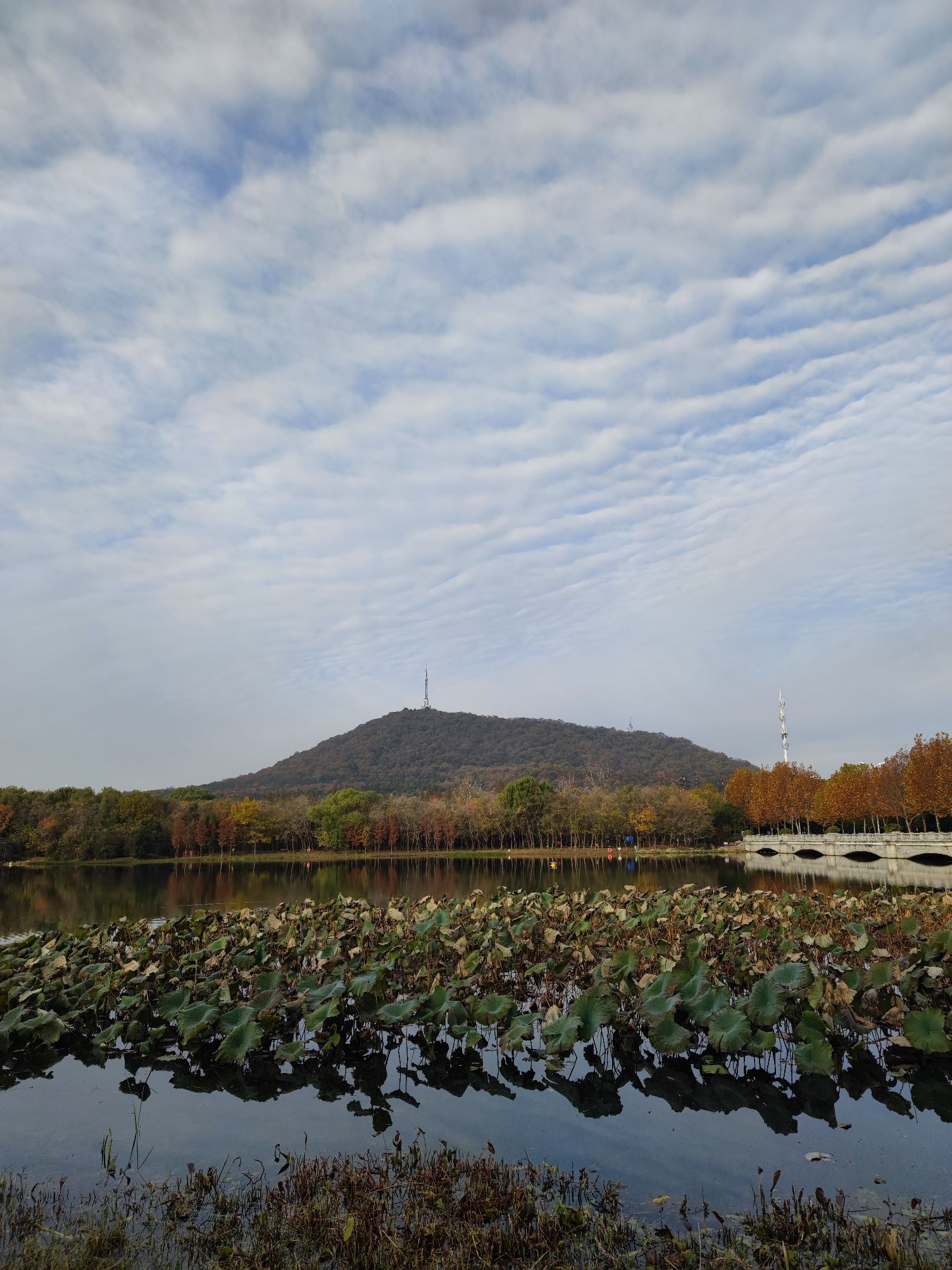 蜀峰湾南湖生态公园(蜀峰湾公园)旅行图片 3