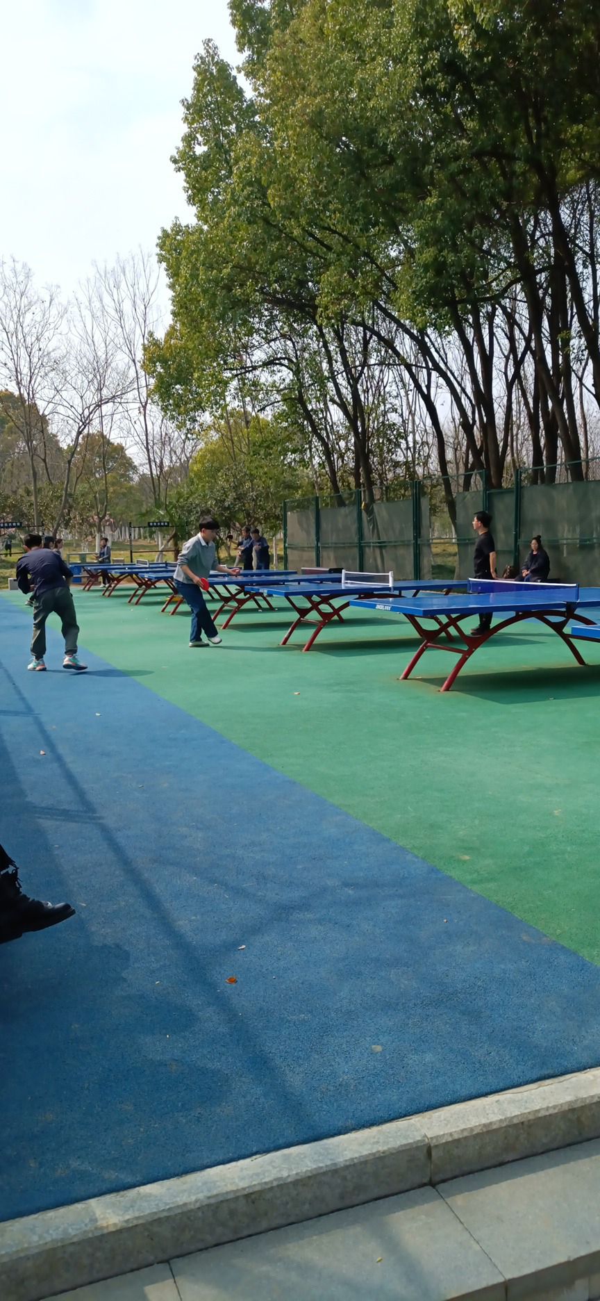 蜀峰湾南湖生态公园(蜀峰湾公园)旅行图片 3