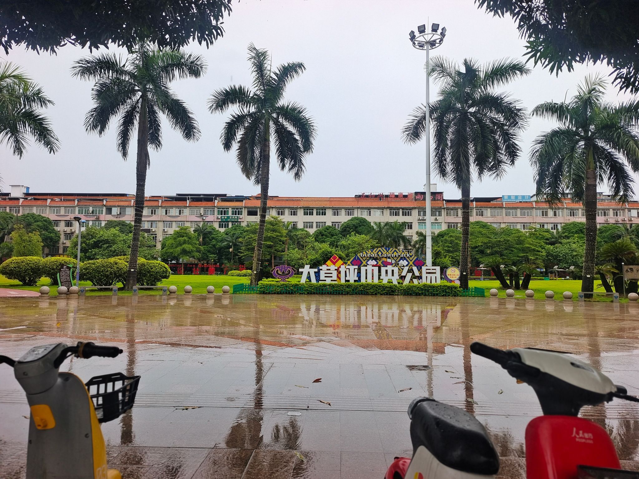 大草坪中央公园旅行图片 1