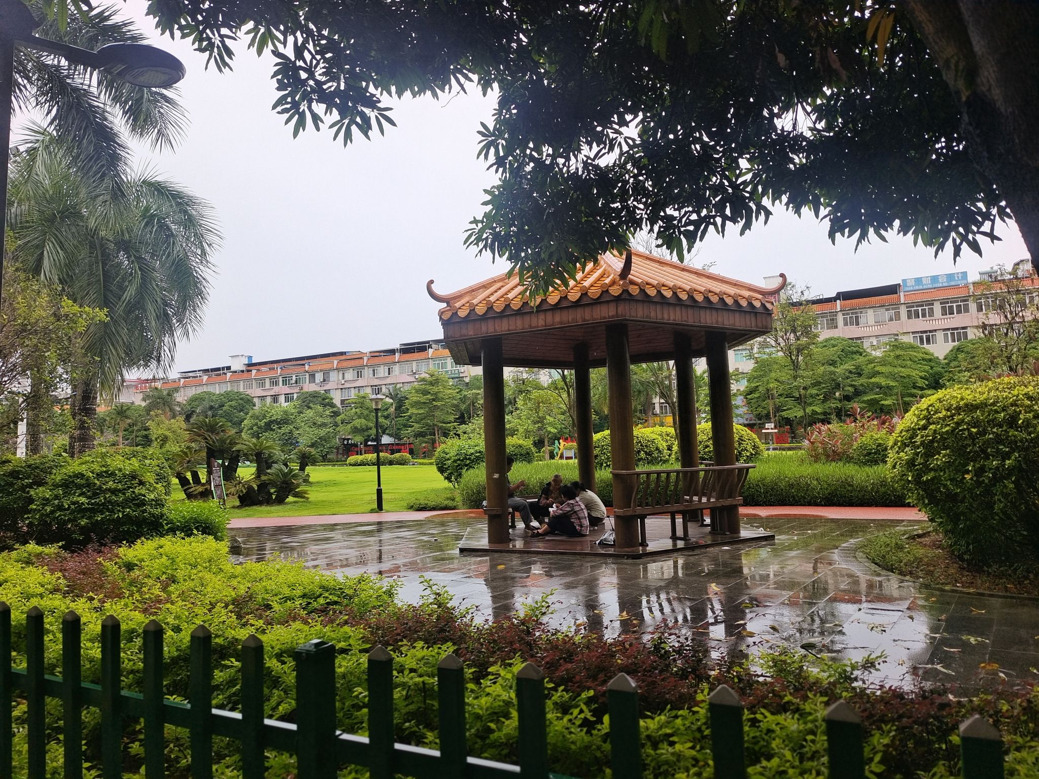 大草坪中央公园旅行图片 2