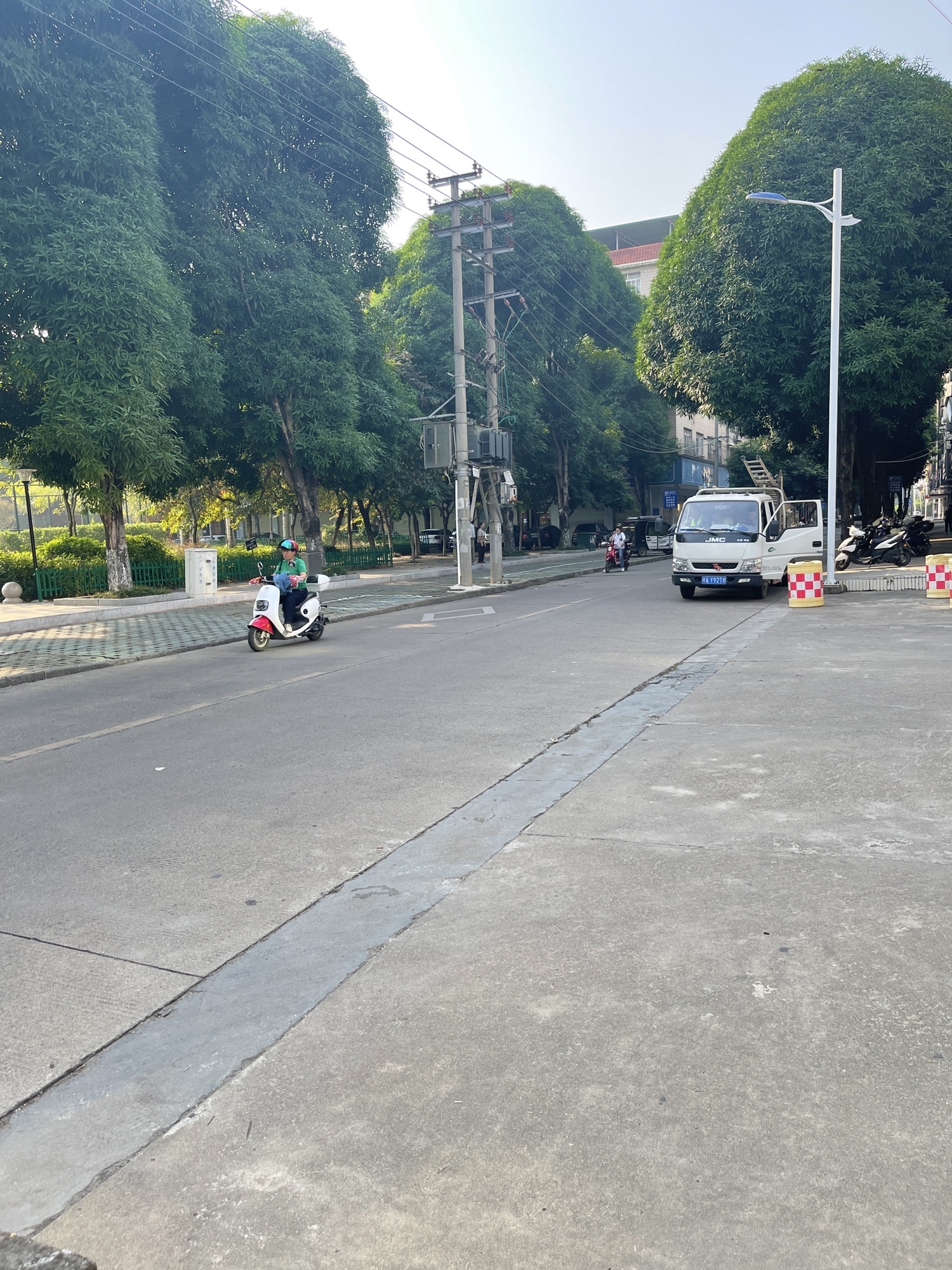 大草坪中央公园旅行图片 2