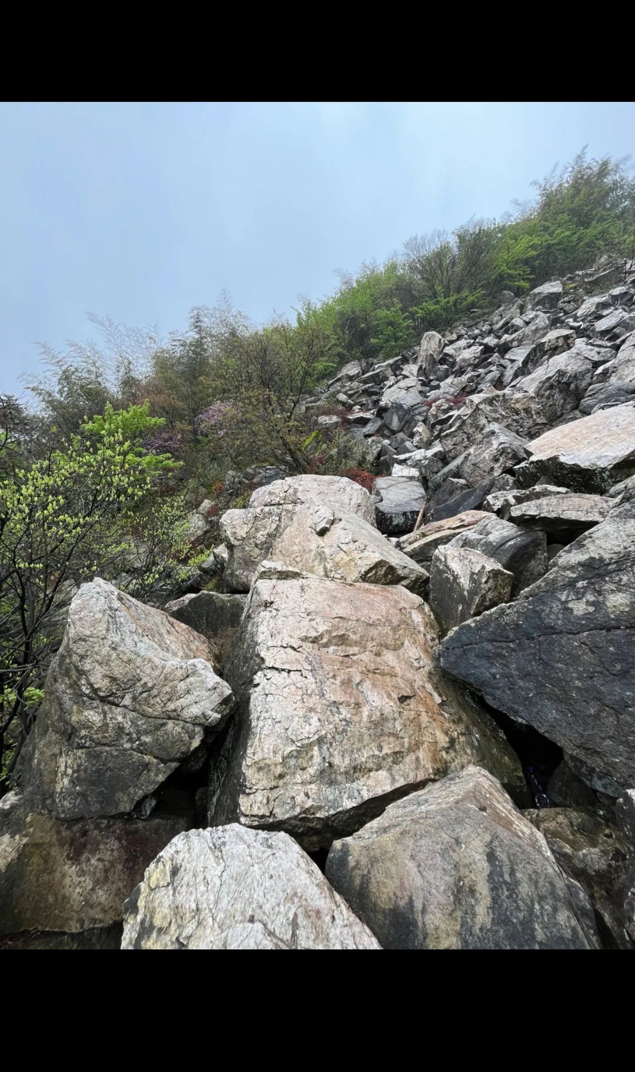 乌石古道旅行图片 1