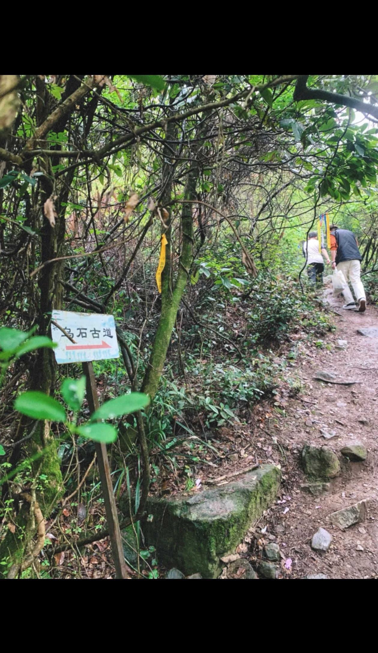 乌石古道旅行图片 2